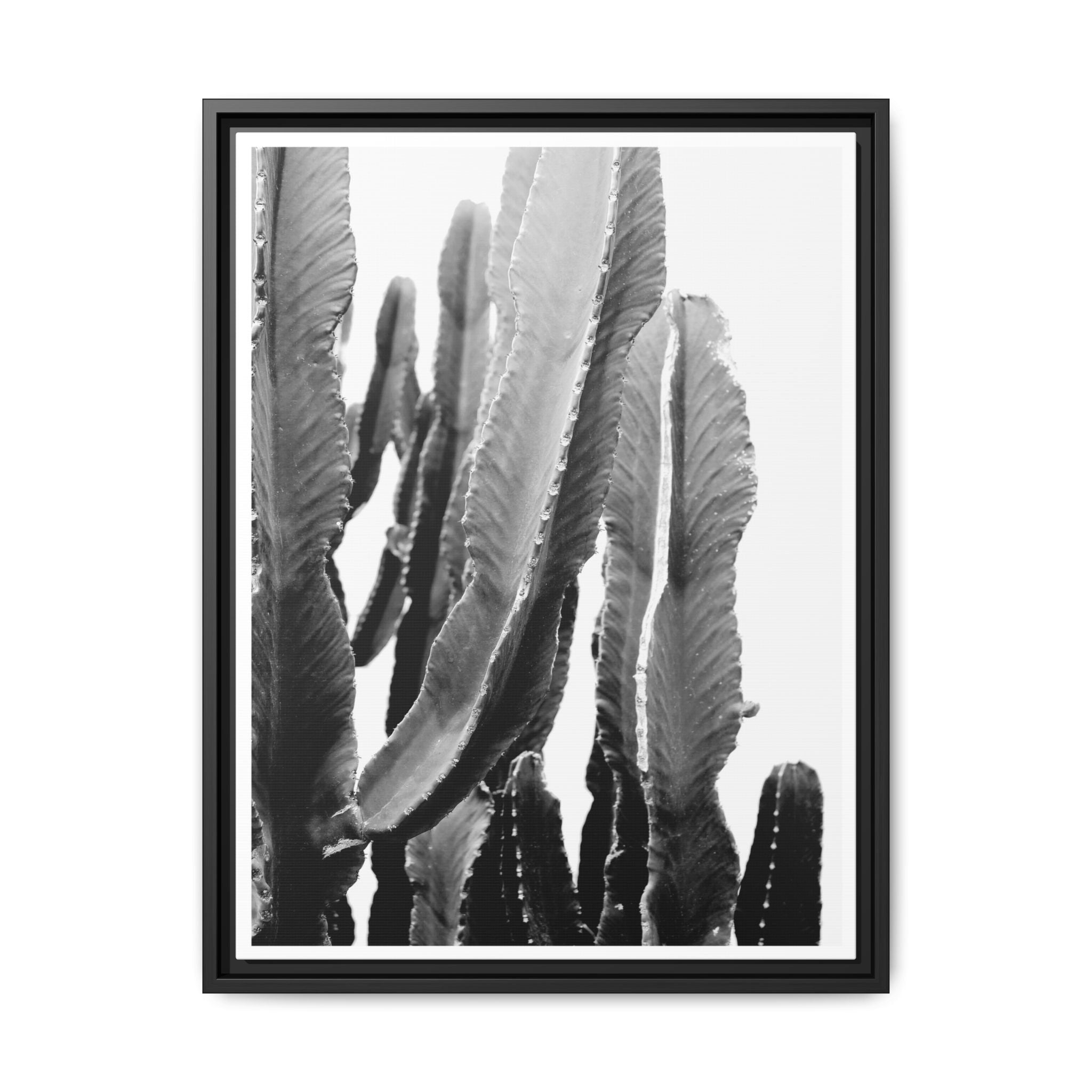 Monochrome Desert Veins - Framed