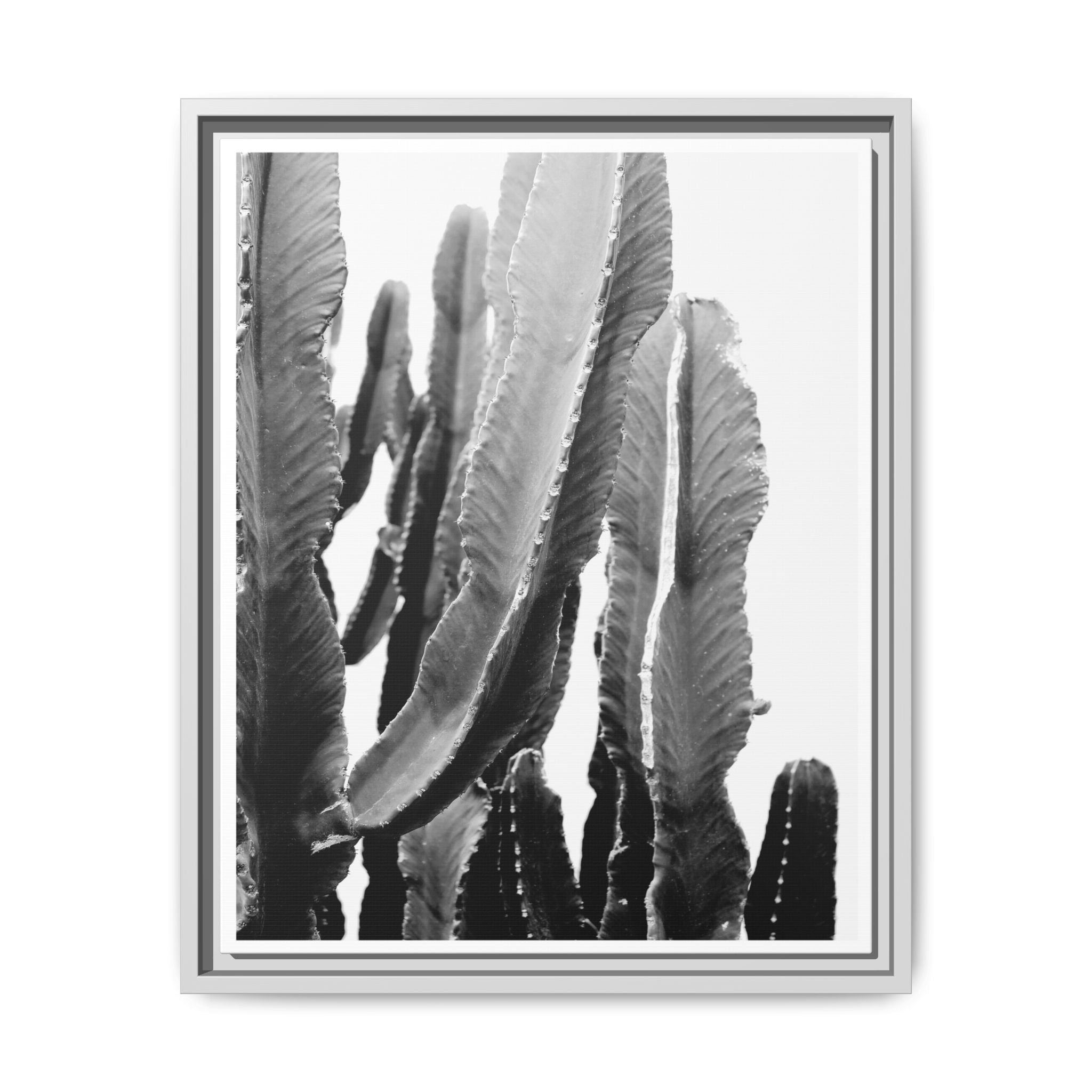 Monochrome Desert Veins - Framed