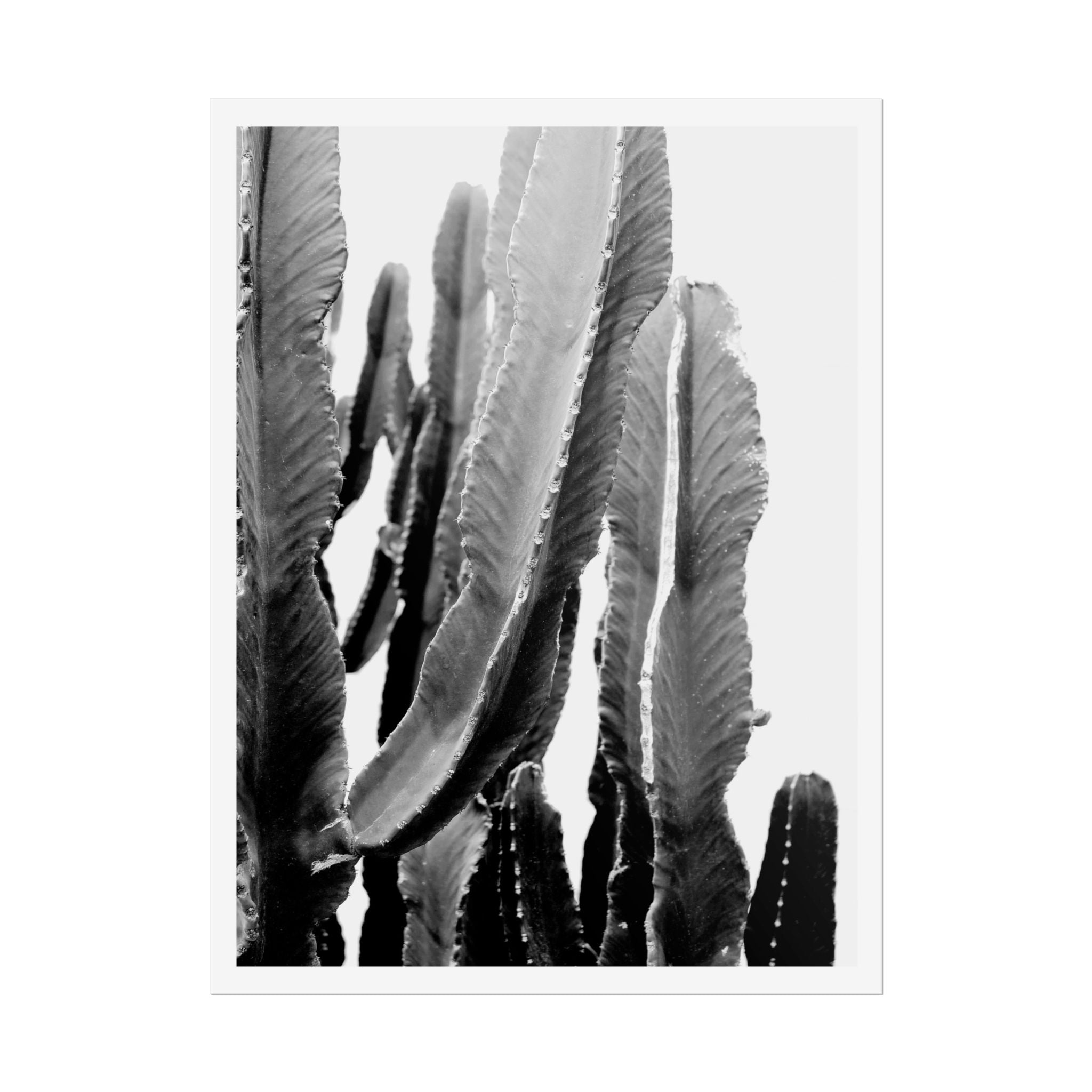 Monochrome Desert Veins - Poster