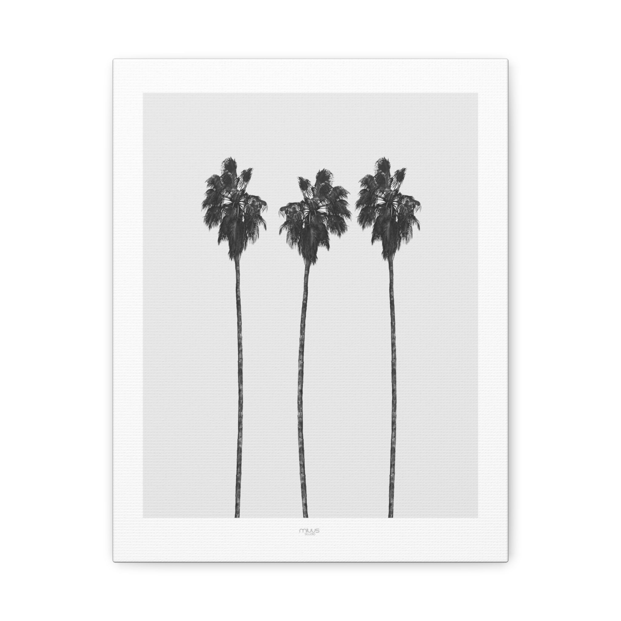 Silver Coast Palm Trio - Canvas