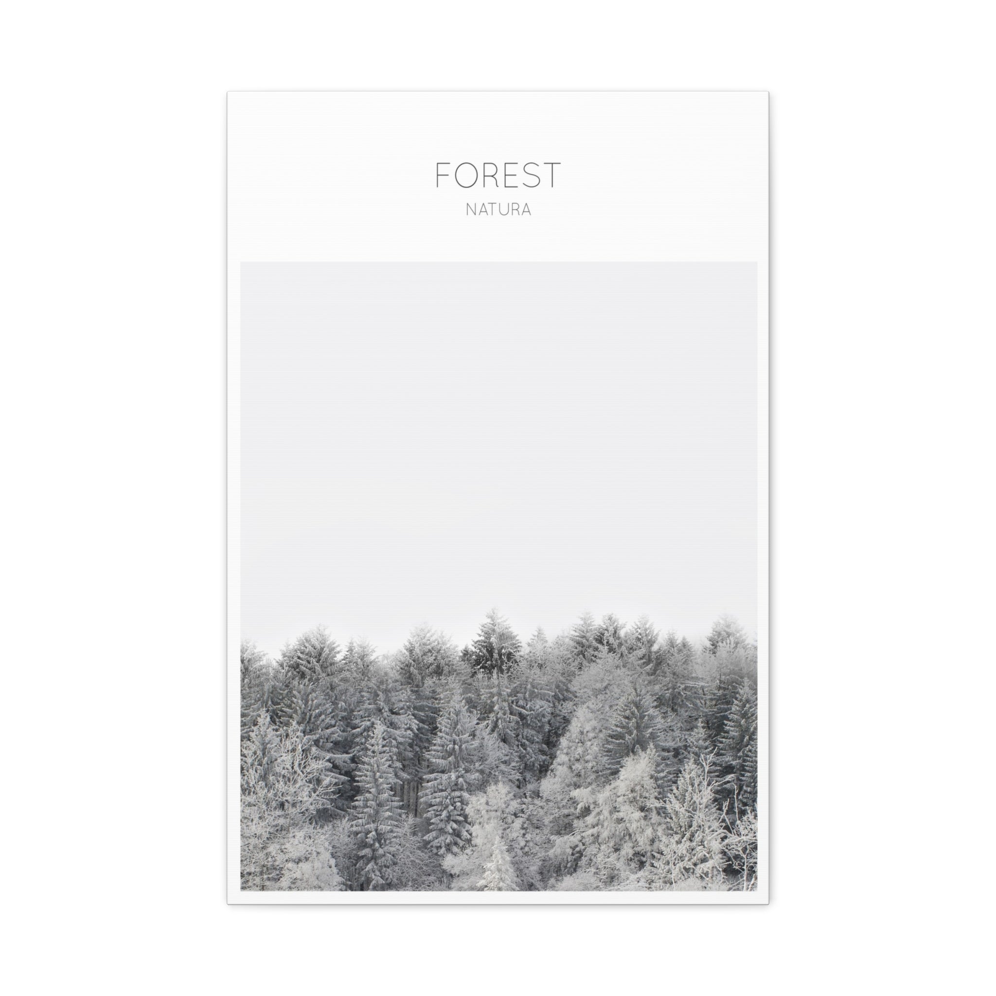 Silent Frost Canopy - Canvas