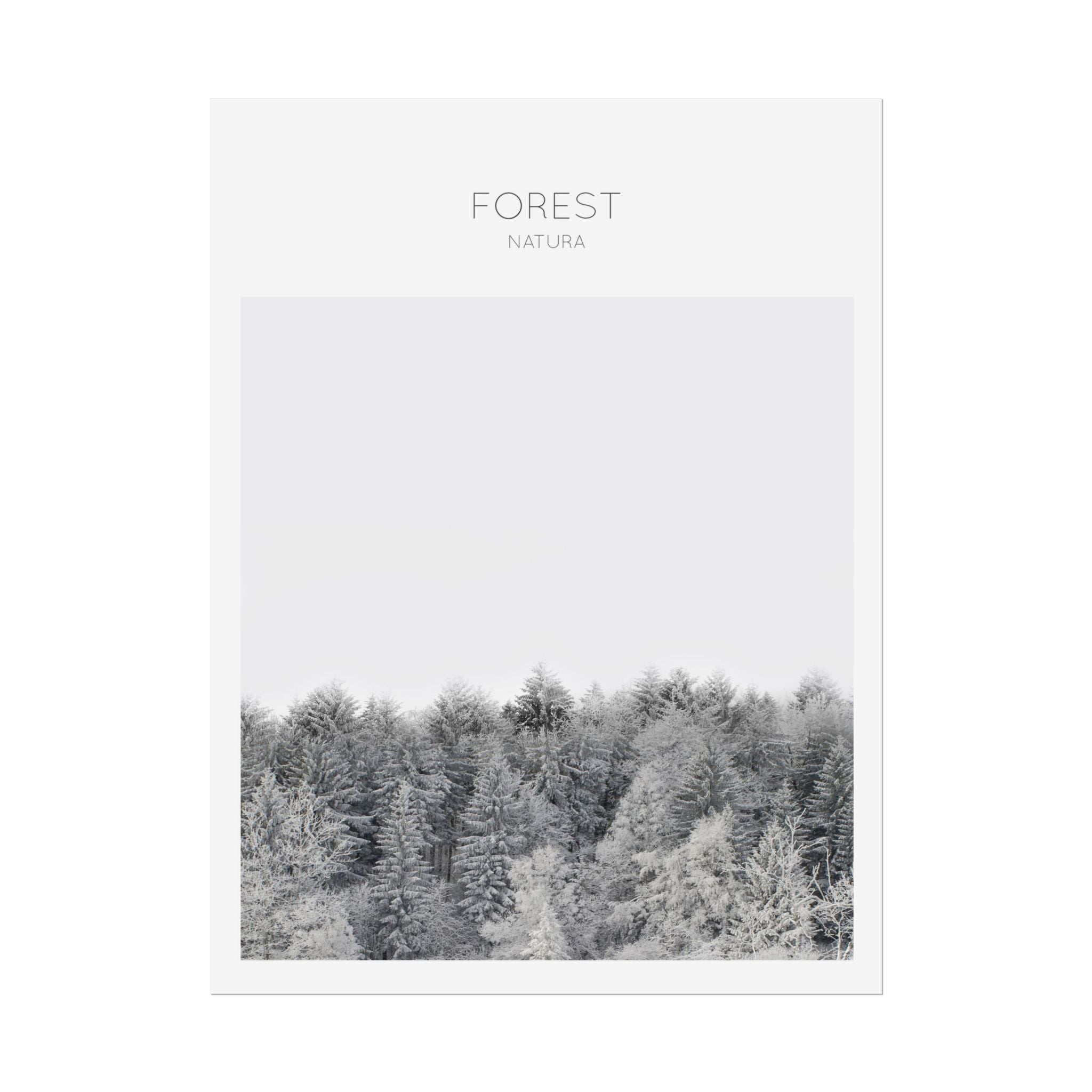 Silent Frost Canopy - Poster