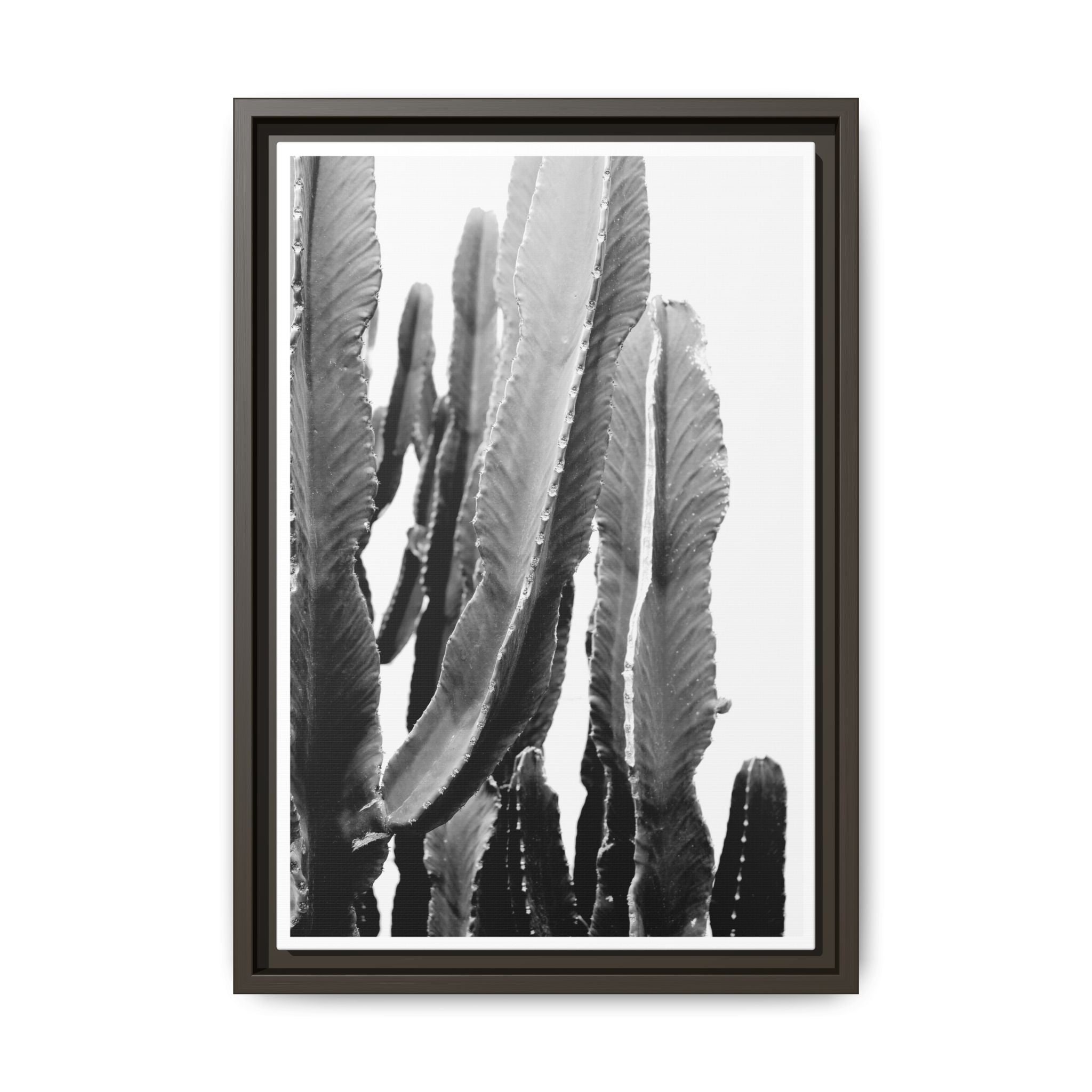 Monochrome Desert Veins - Framed