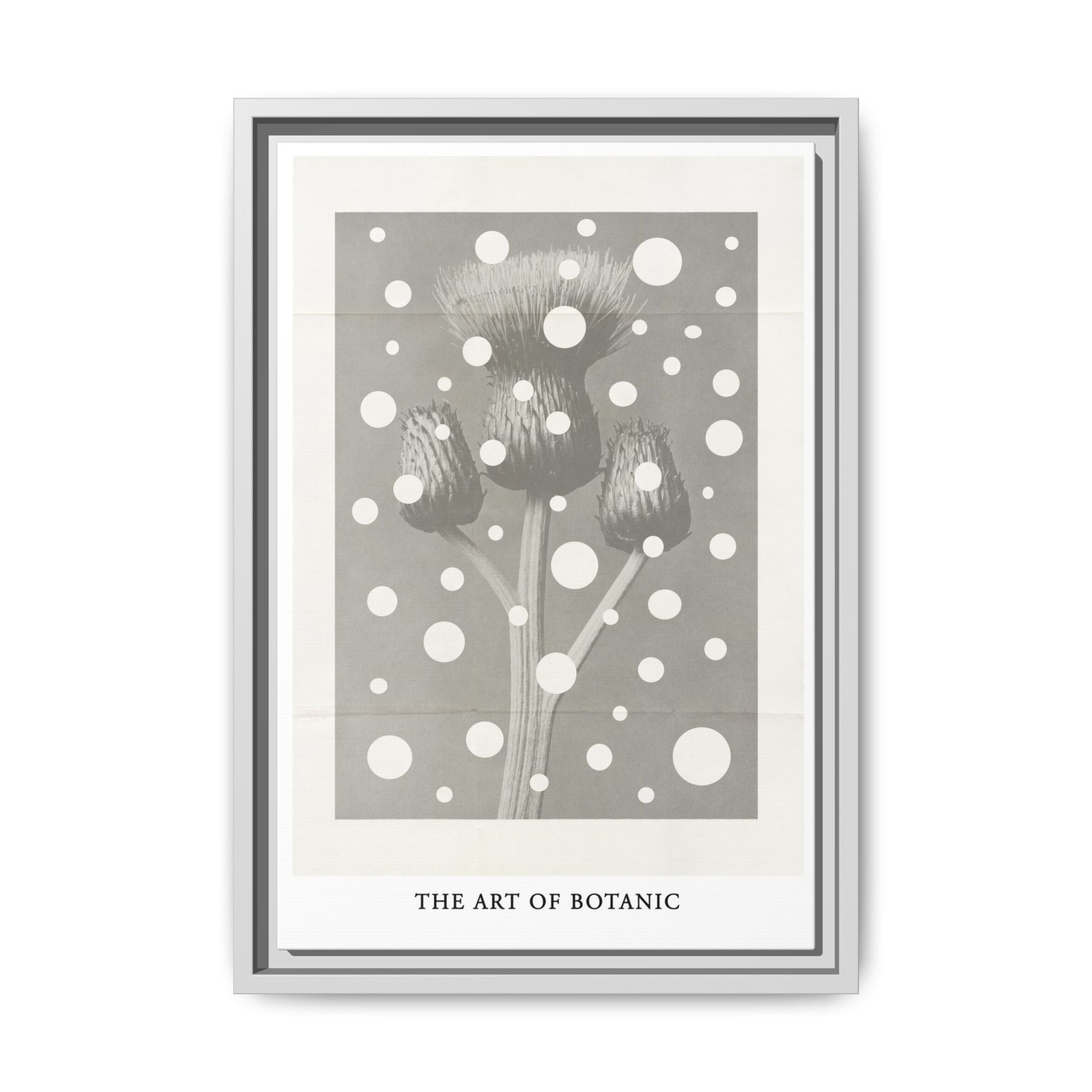 Winter Thistle Reverie - Framed