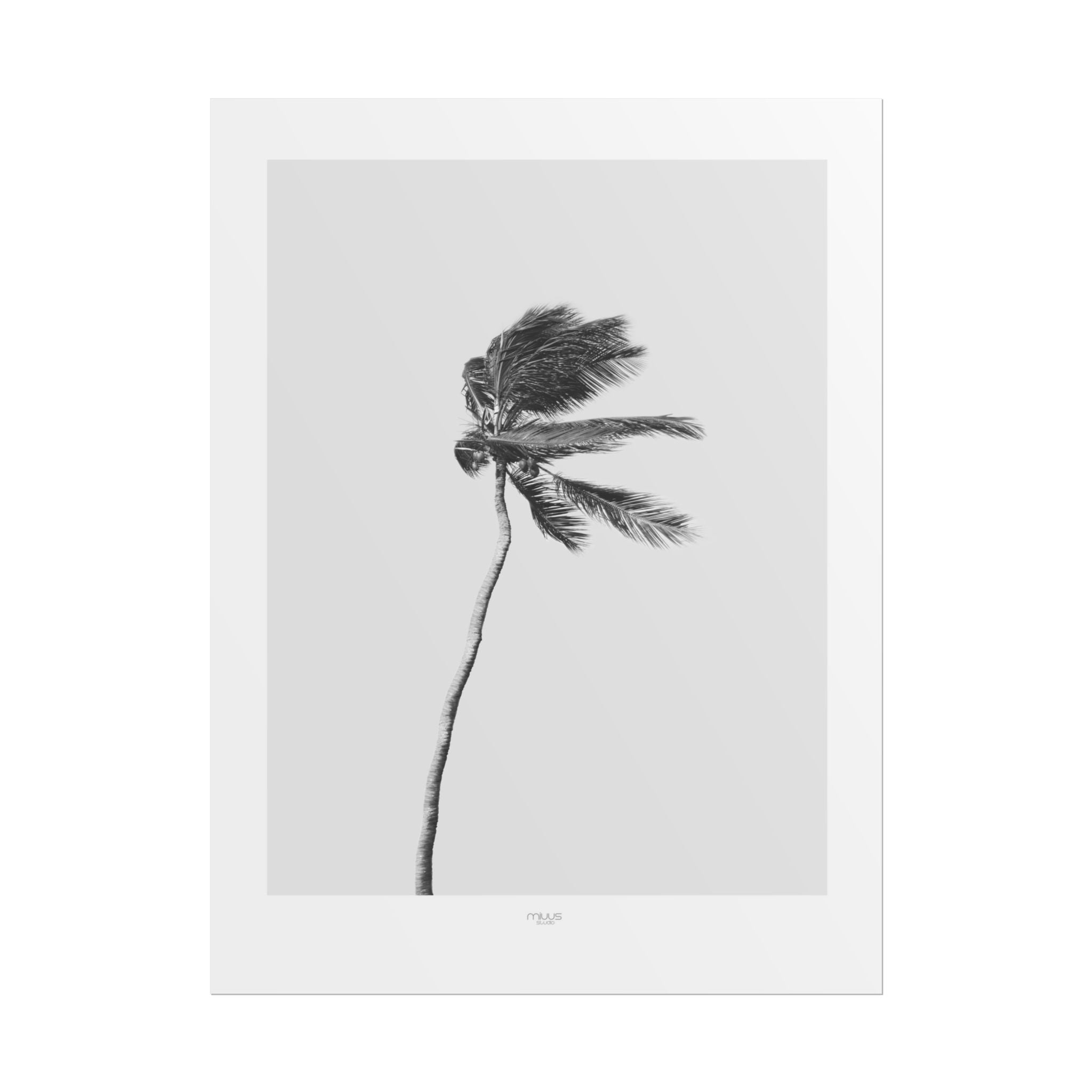 Coastal Silence Sway - Poster