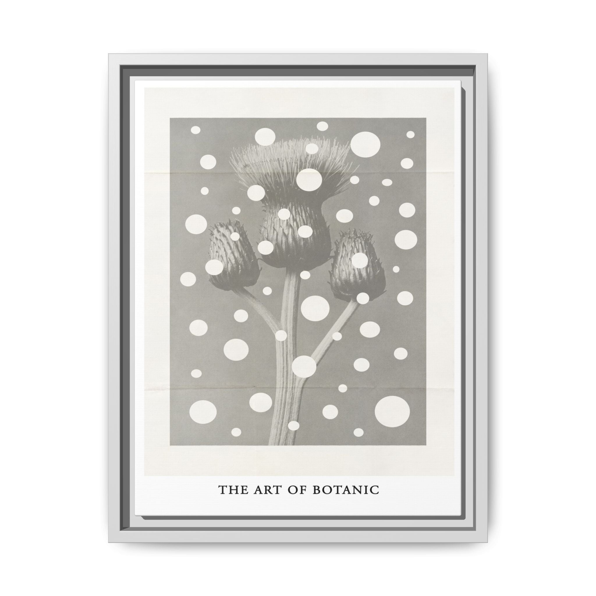 Winter Thistle Reverie - Framed
