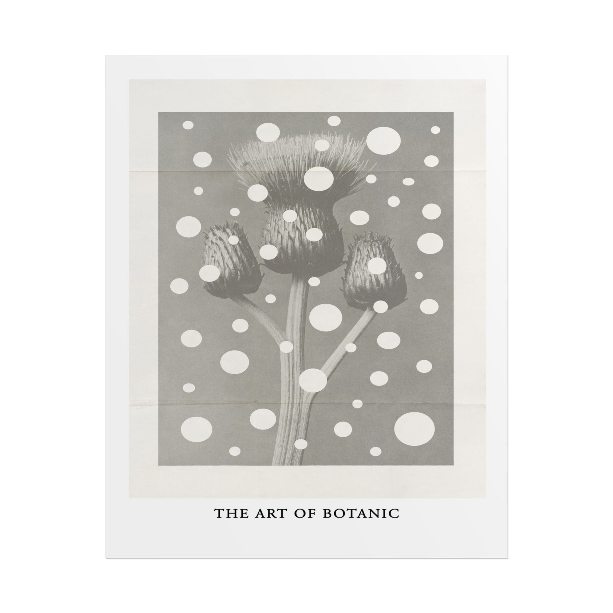 Winter Thistle Reverie - Poster