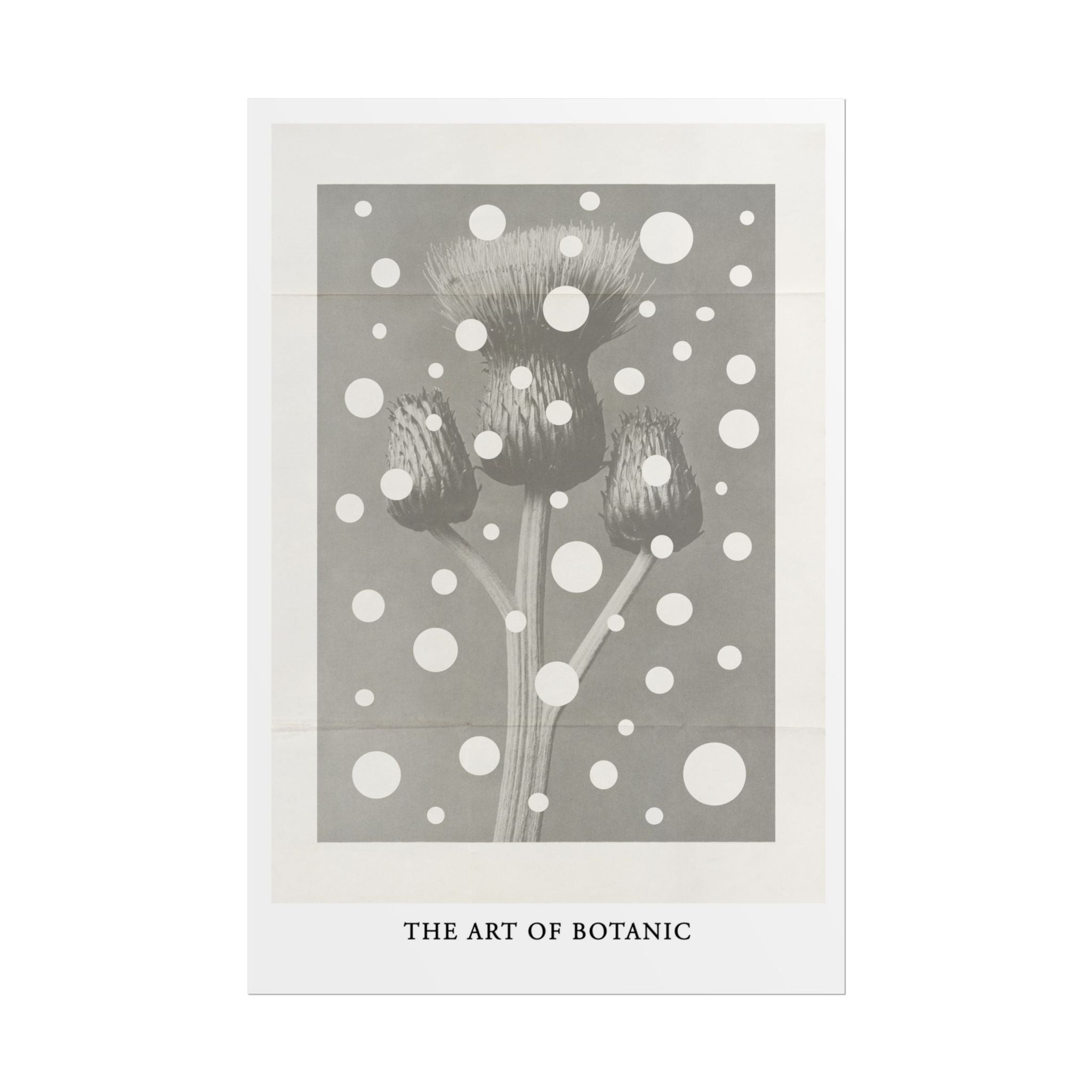 Winter Thistle Reverie - Poster