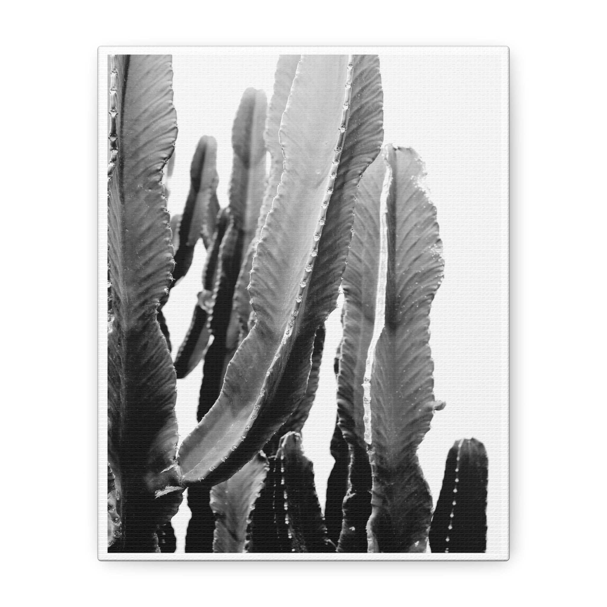 Monochrome Desert Veins - Canvas