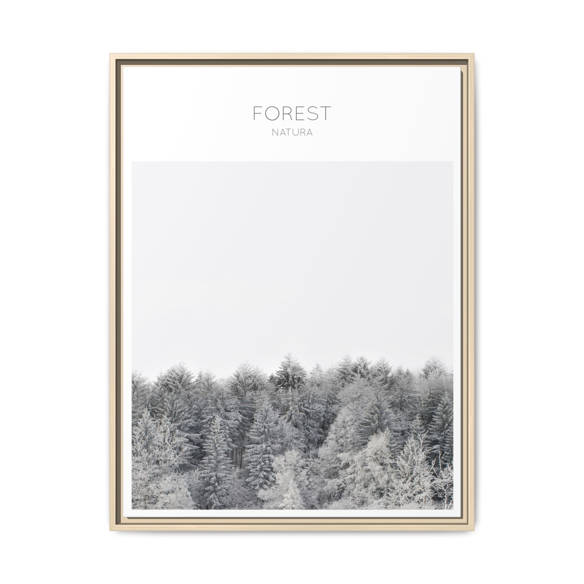 Silent Frost Canopy - Framed