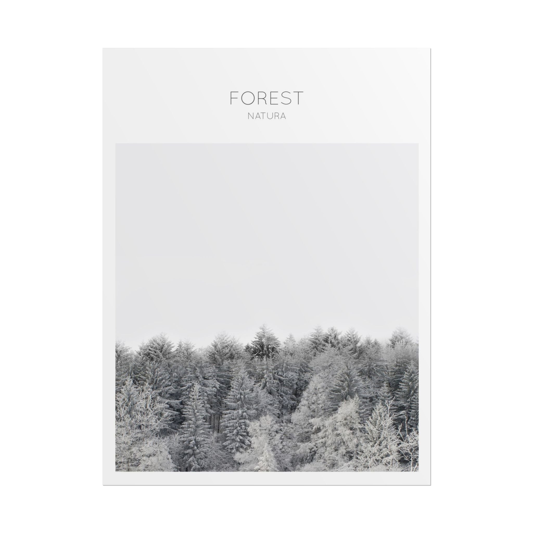 Silent Frost Canopy - Poster