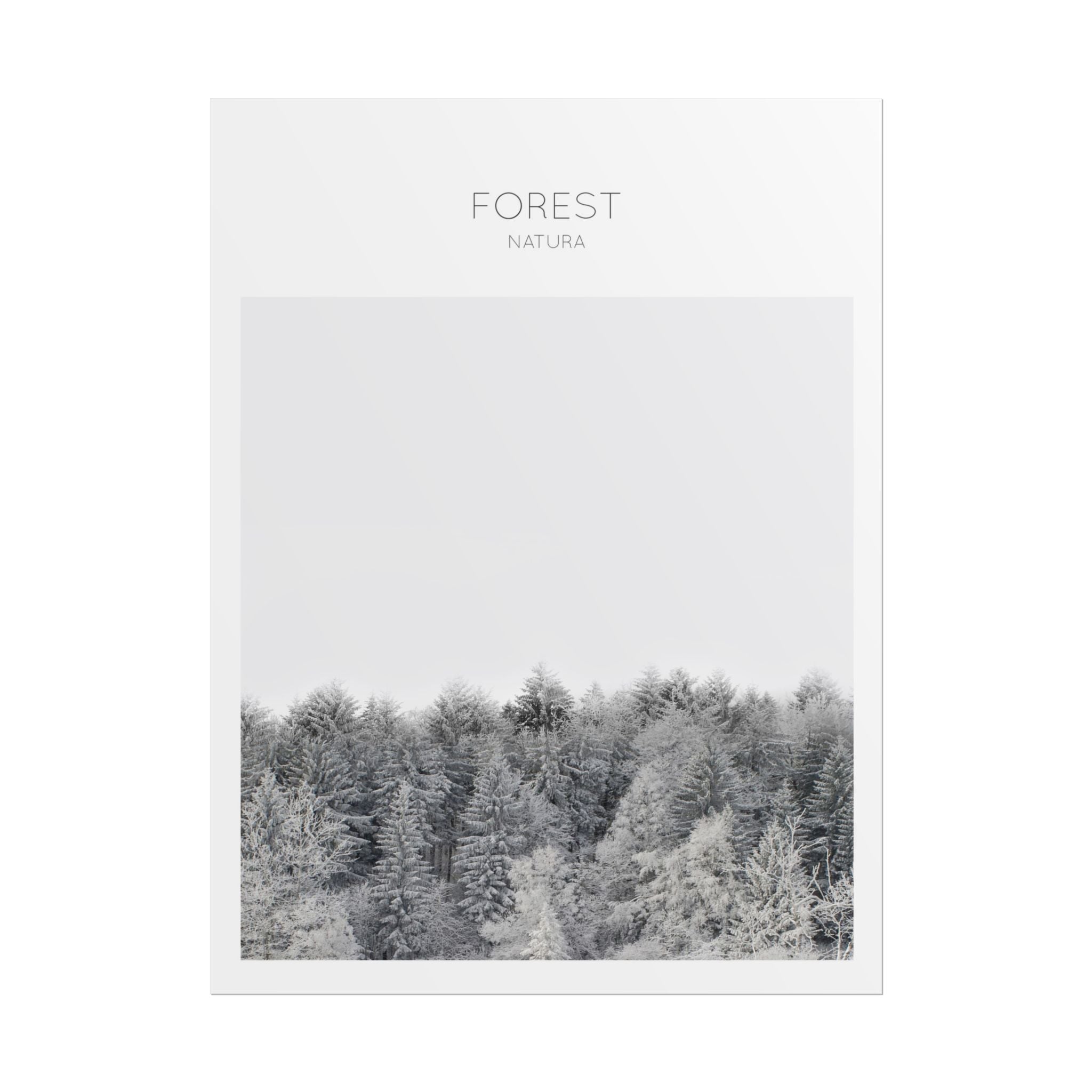 Silent Frost Canopy - Poster