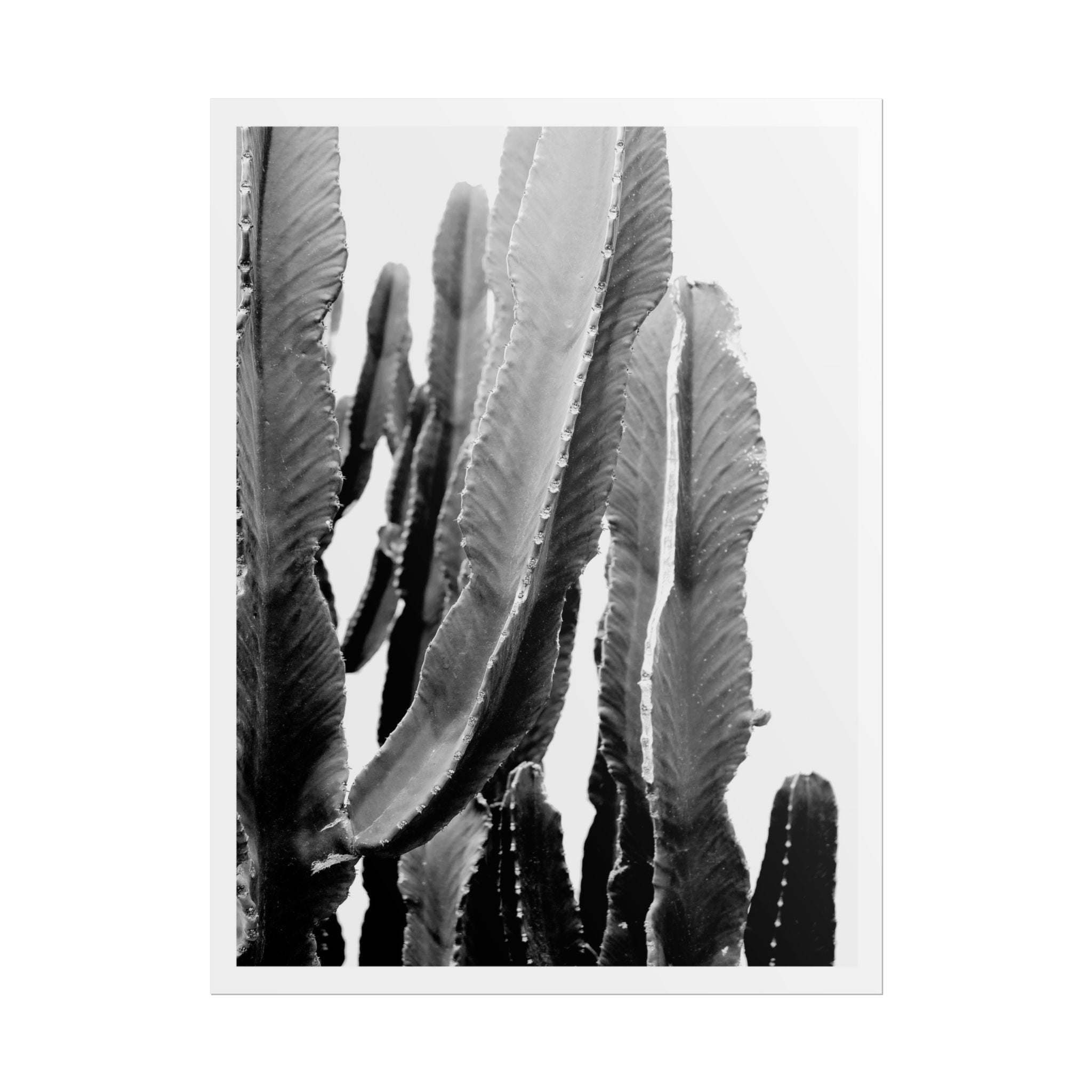 Monochrome Desert Veins - Poster