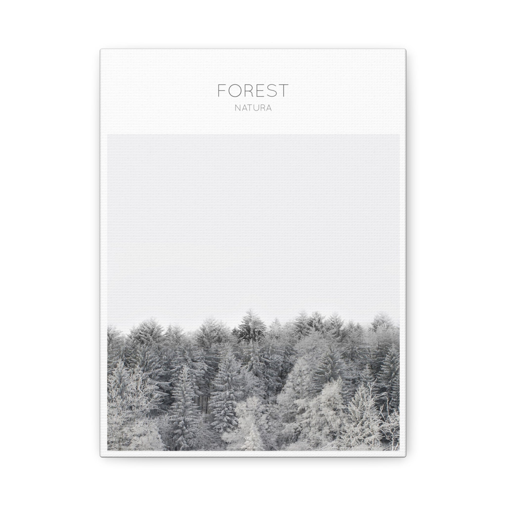 Silent Frost Canopy - Canvas