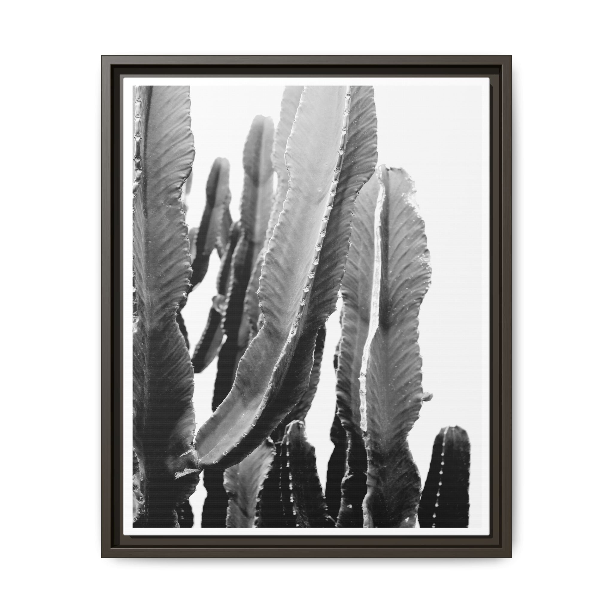 Monochrome Desert Veins - Framed