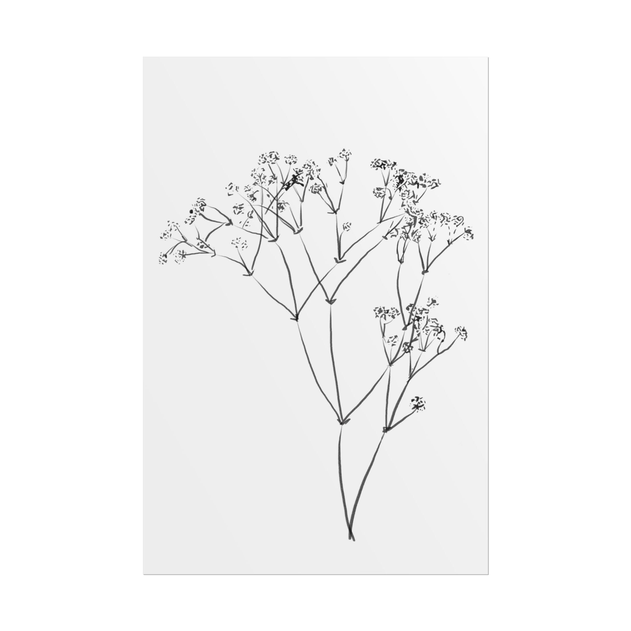 Whispering Meadow Sketch - Poster