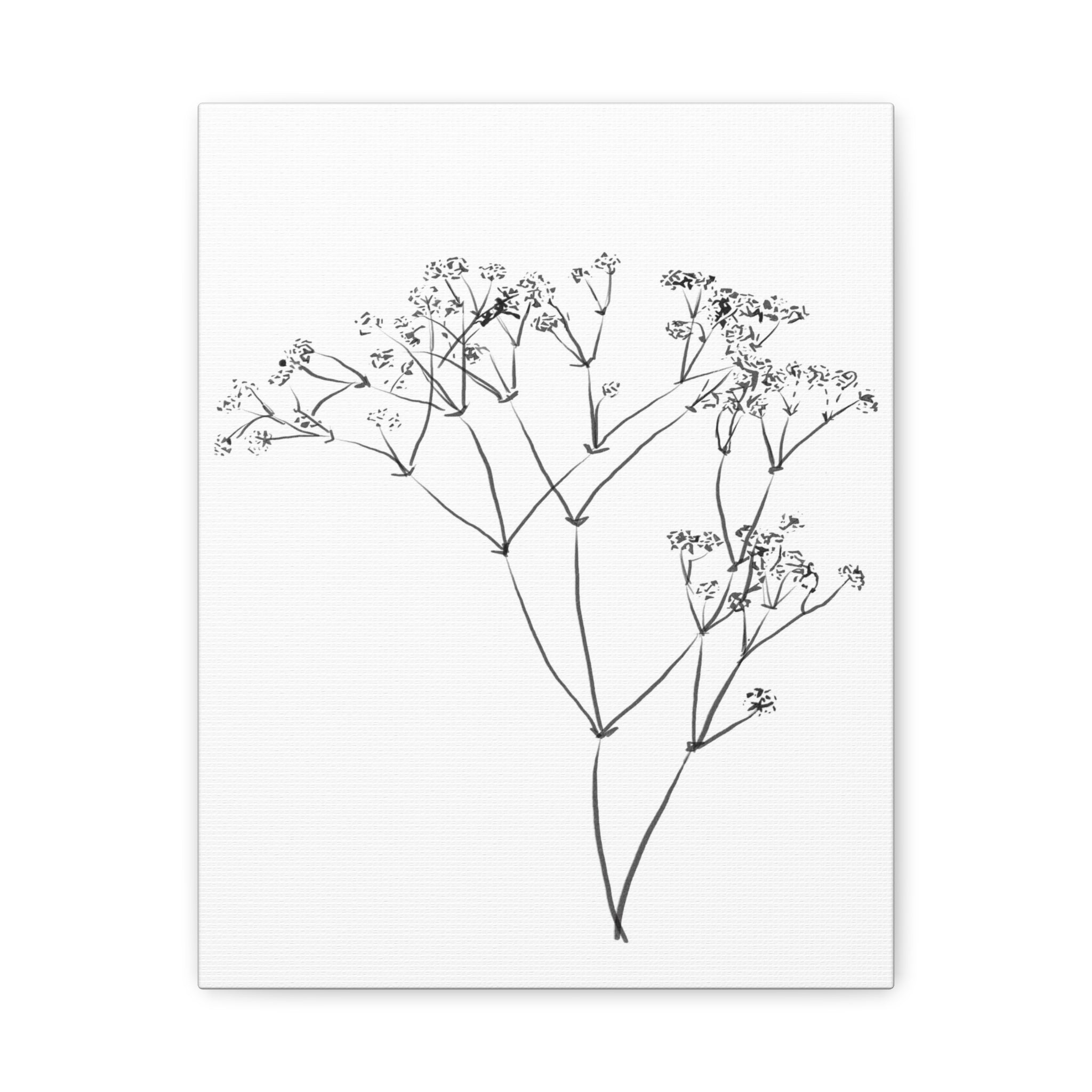 Whispering Meadow Sketch - Canvas