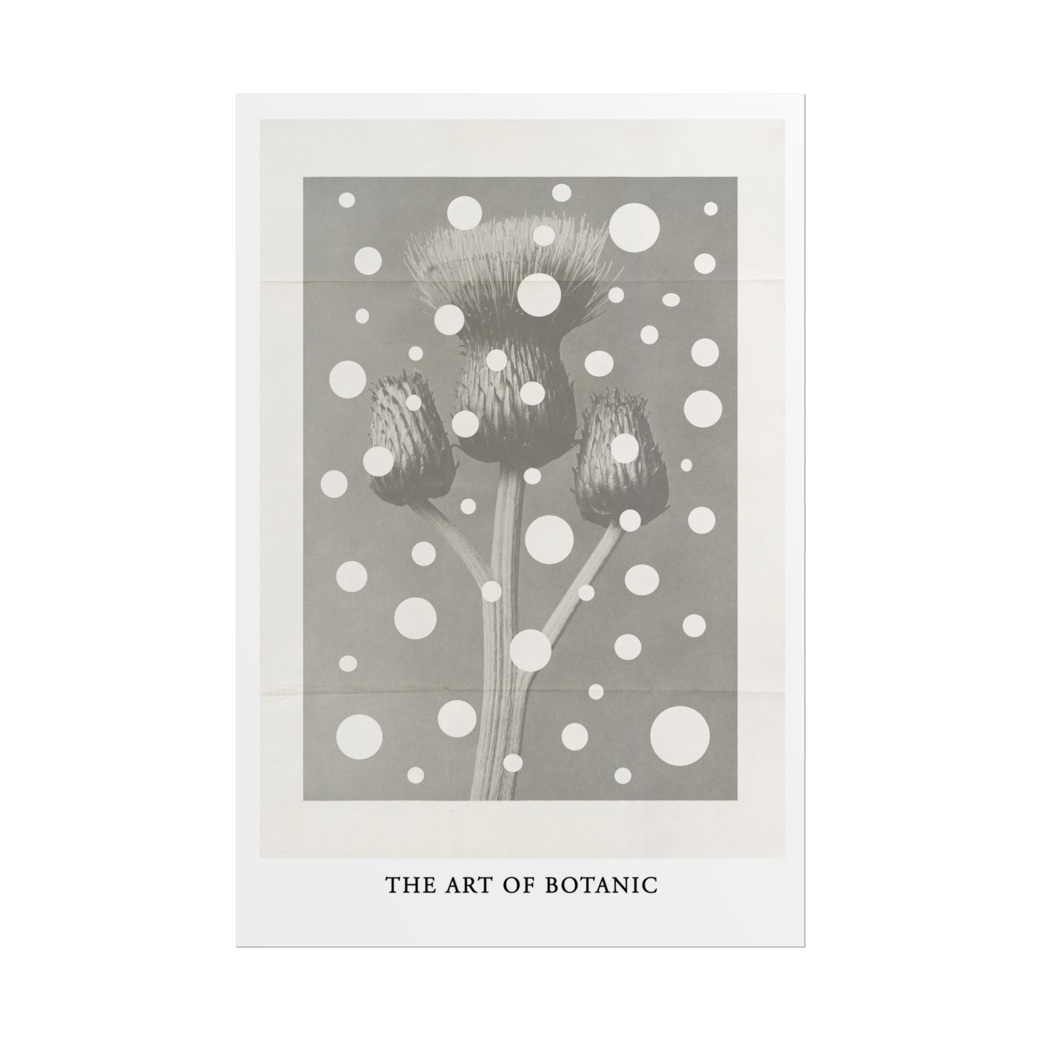 Winter Thistle Reverie - Poster