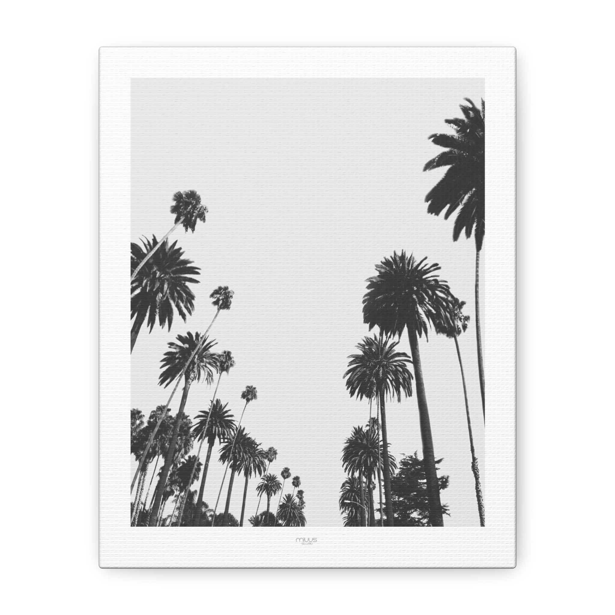 Midnight Palm Reverie - Canvas