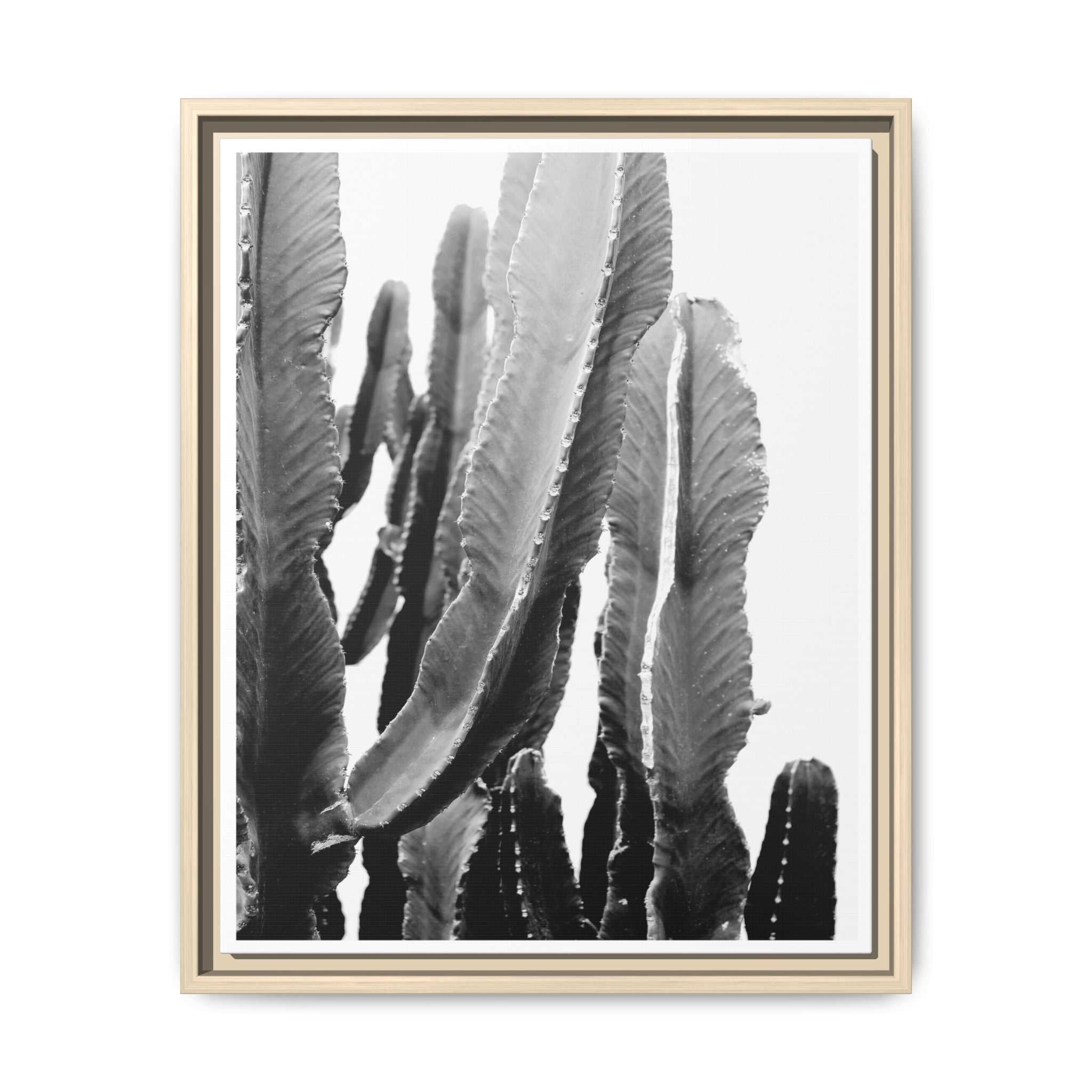 Monochrome Desert Veins - Framed
