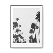 Midnight Palm Reverie - Framed