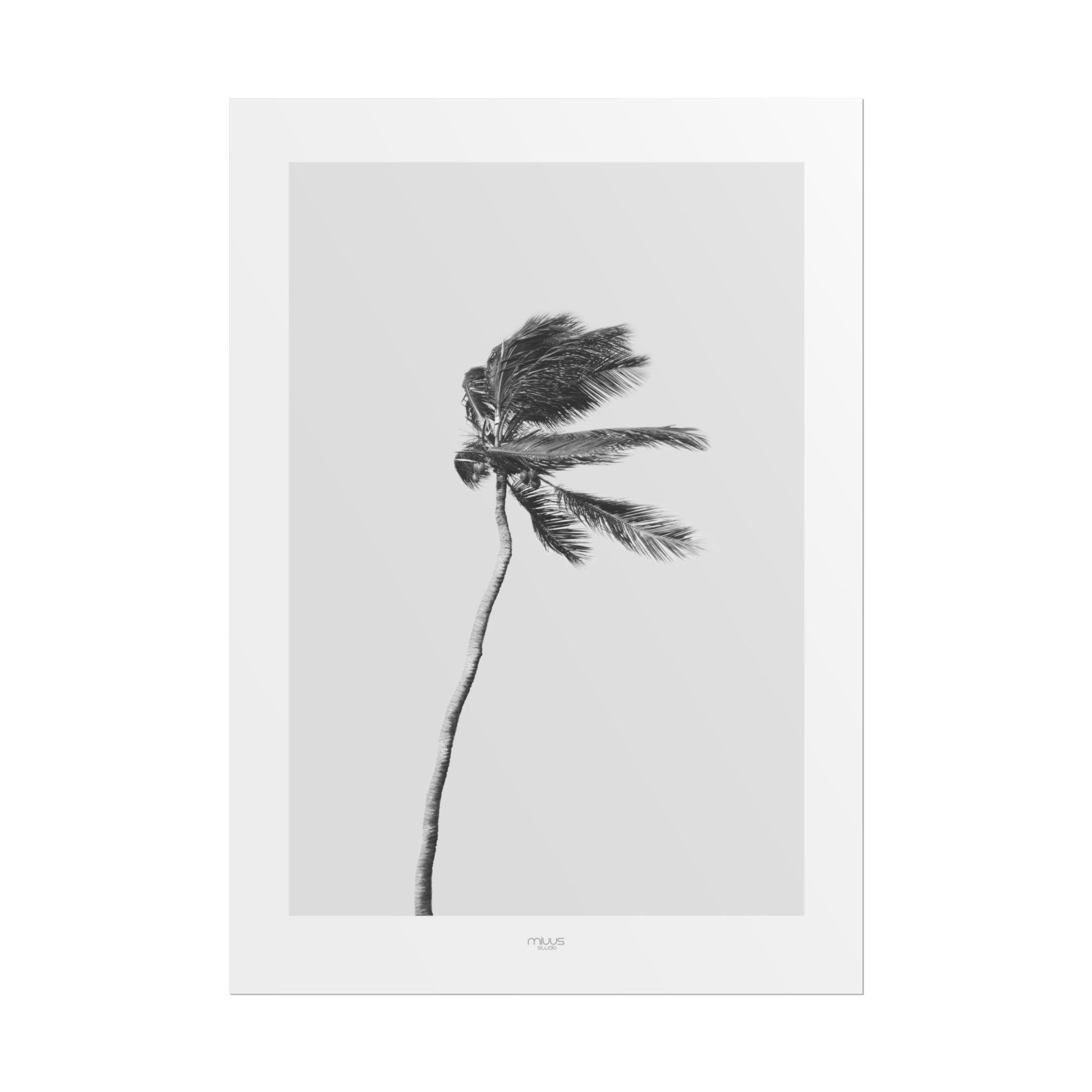 Coastal Silence Sway - Poster
