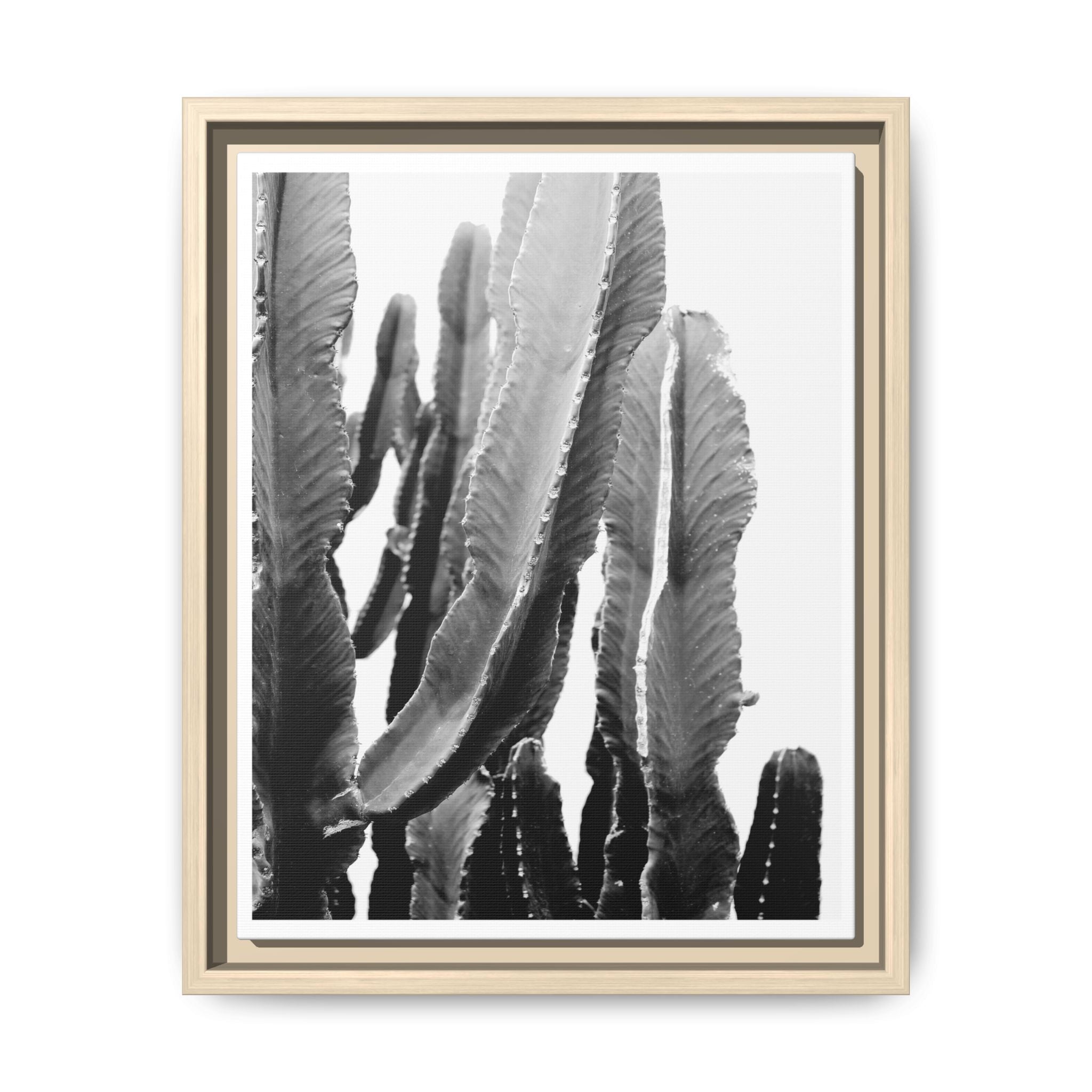 Monochrome Desert Veins - Framed