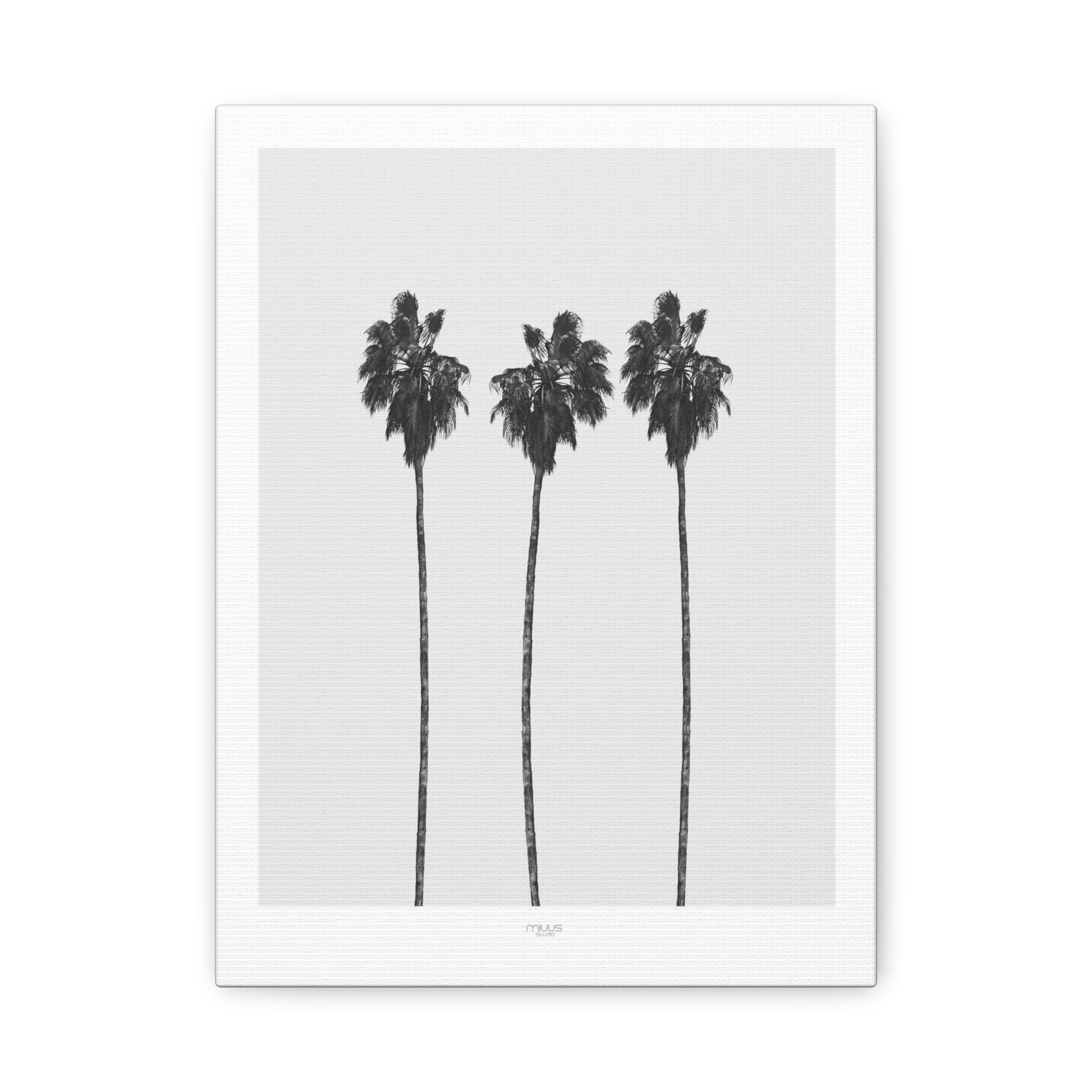 Silver Coast Palm Trio - Canvas