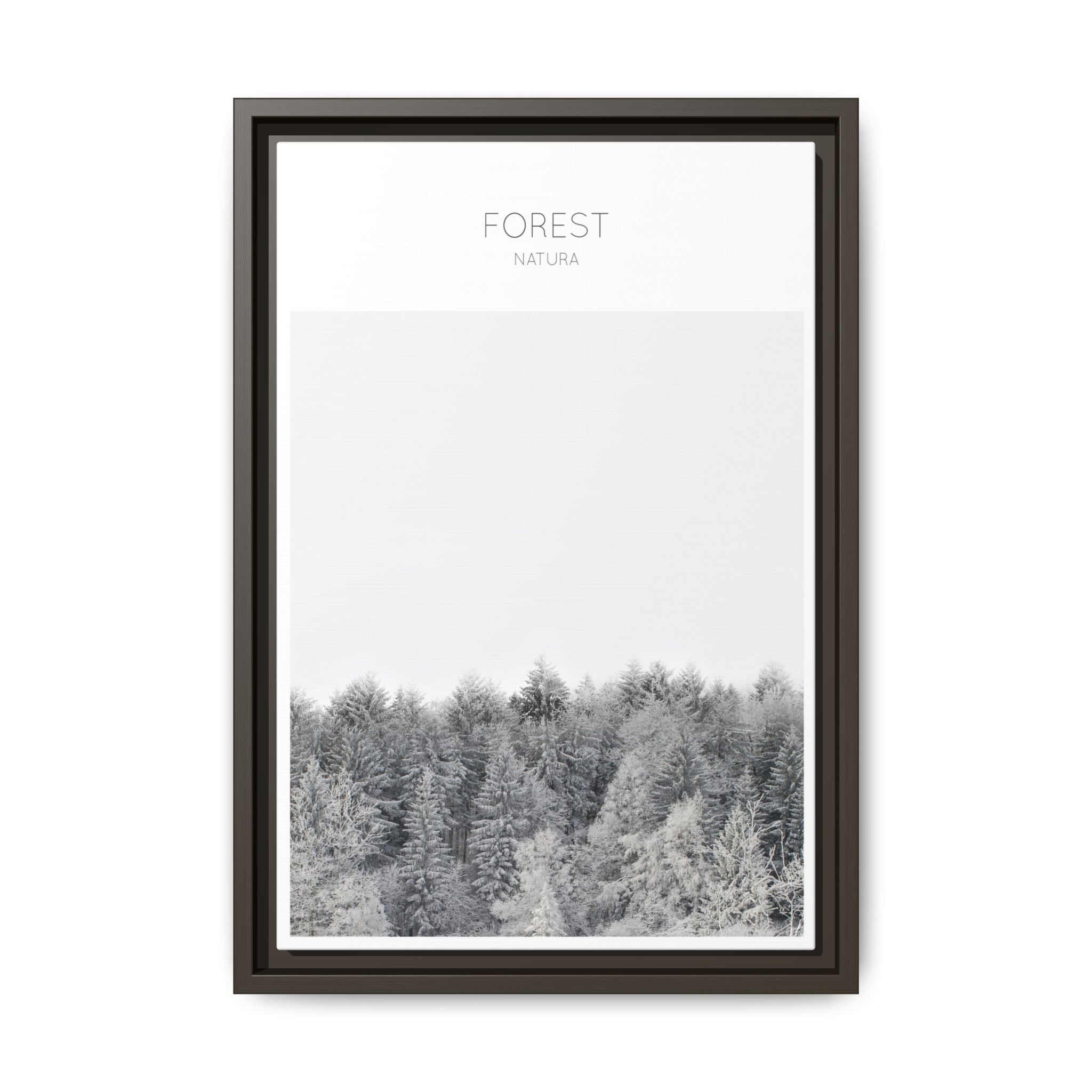 Silent Frost Canopy - Framed
