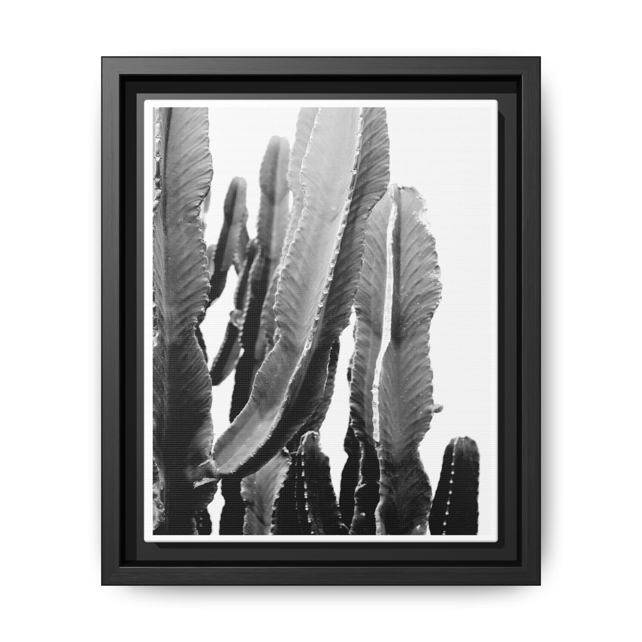 Monochrome Desert Veins - Framed