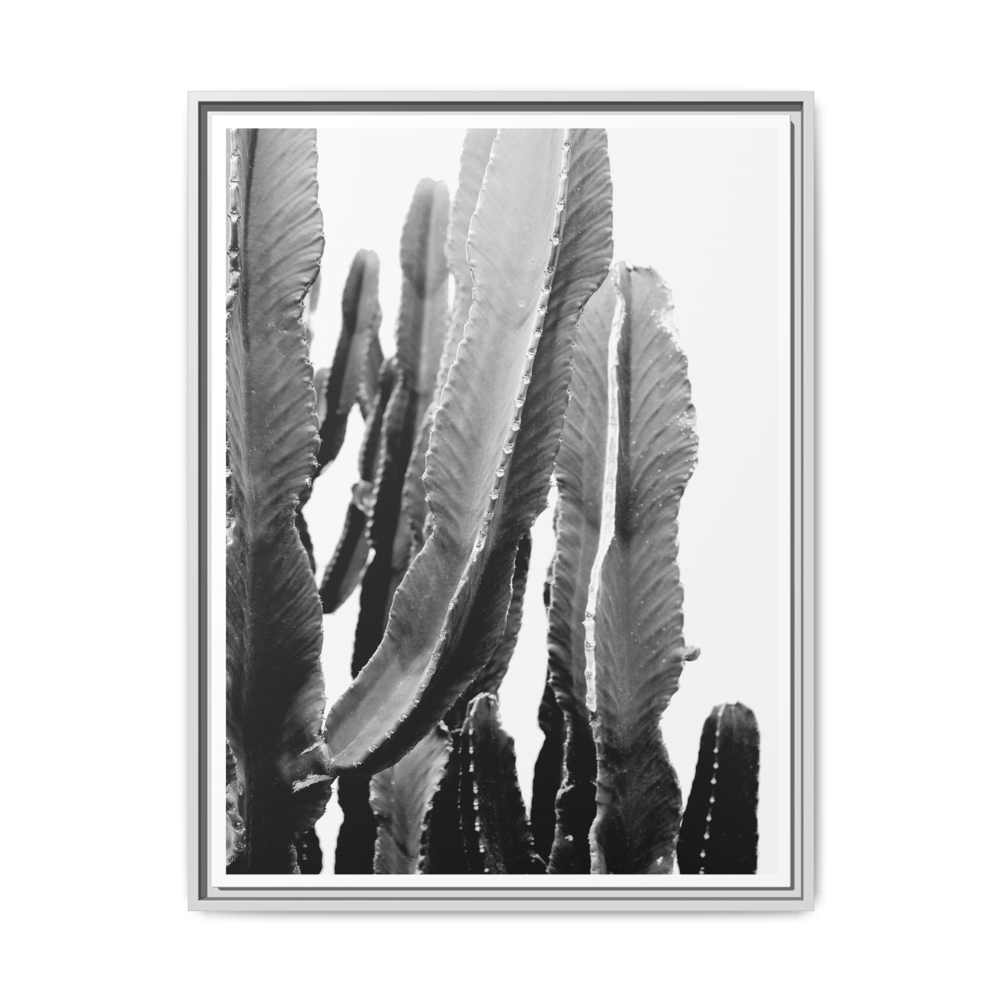 Monochrome Desert Veins - Framed