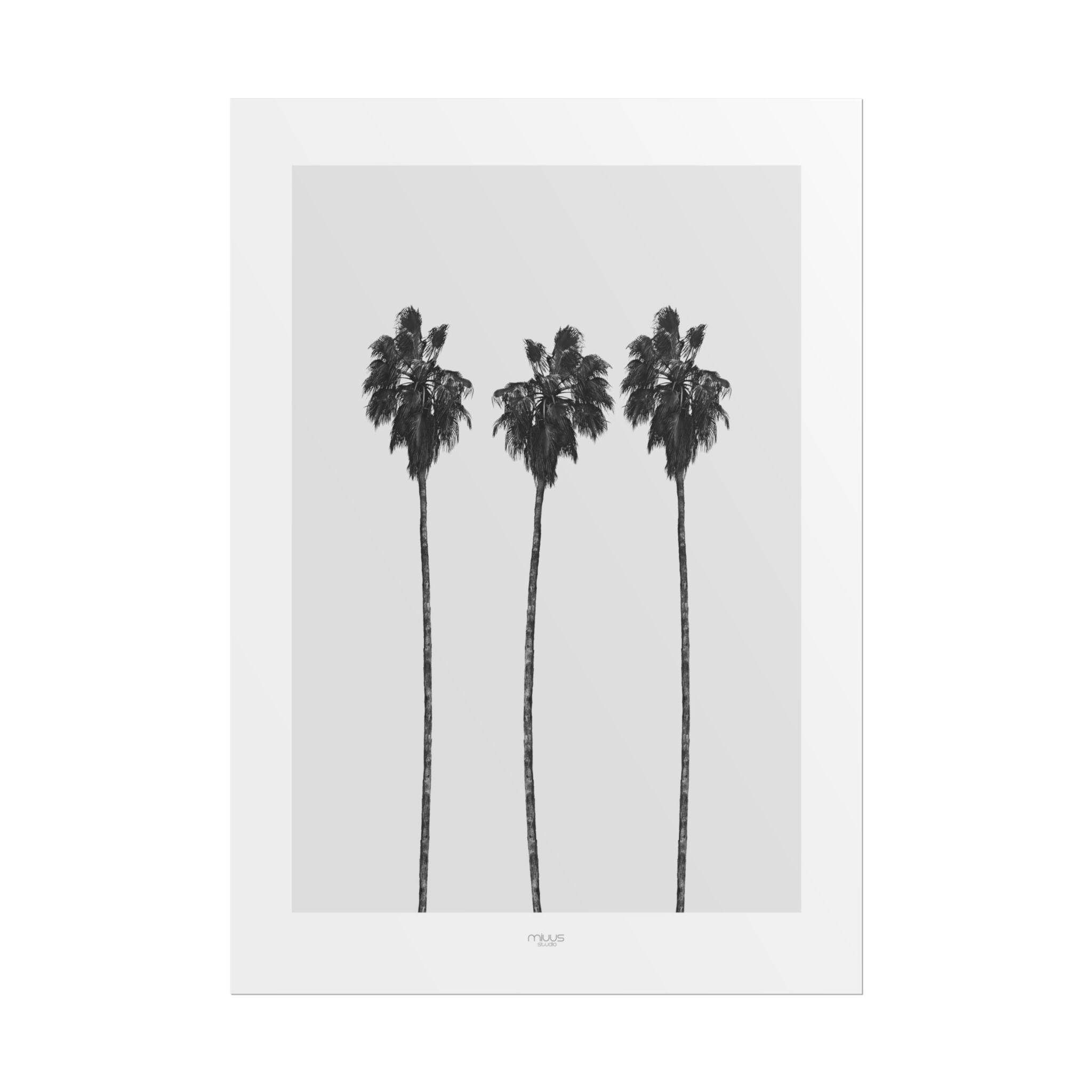 Silver Coast Palm Trio - Poster