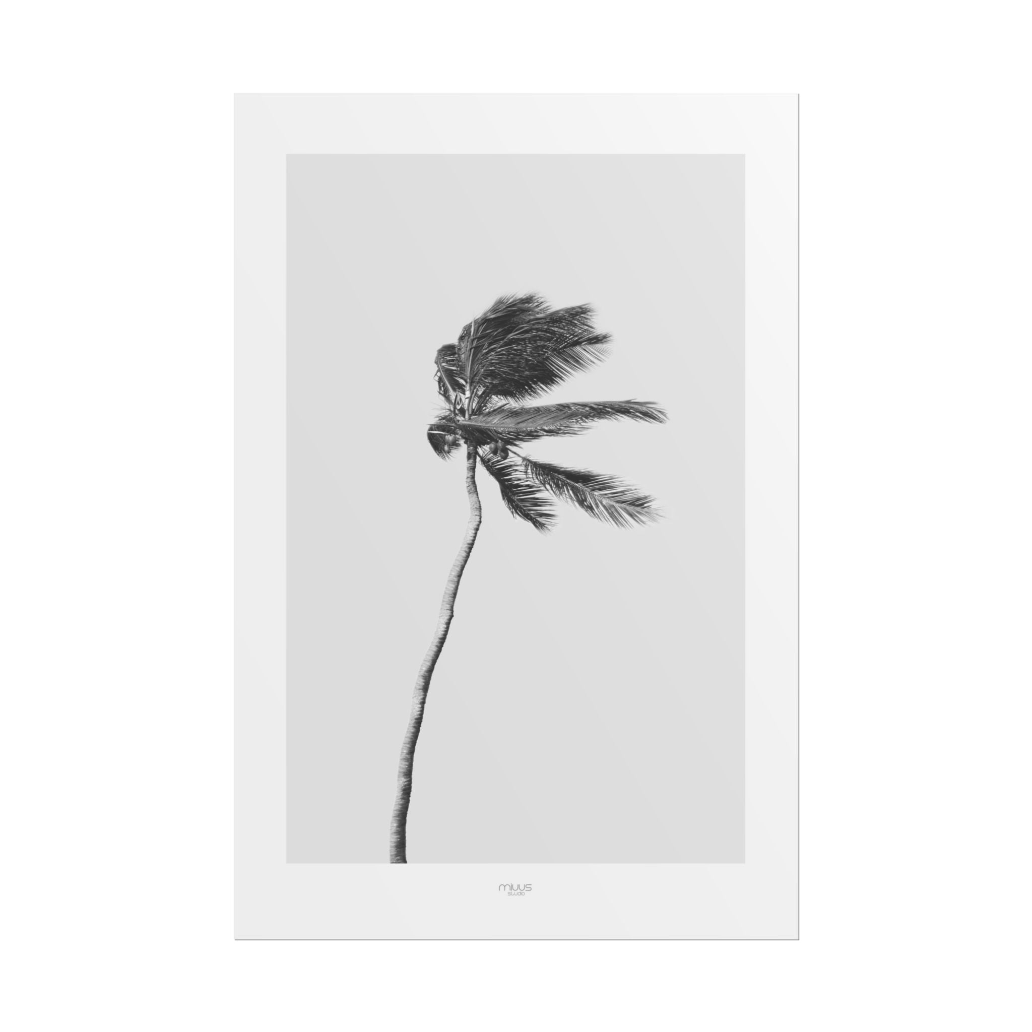 Coastal Silence Sway - Poster