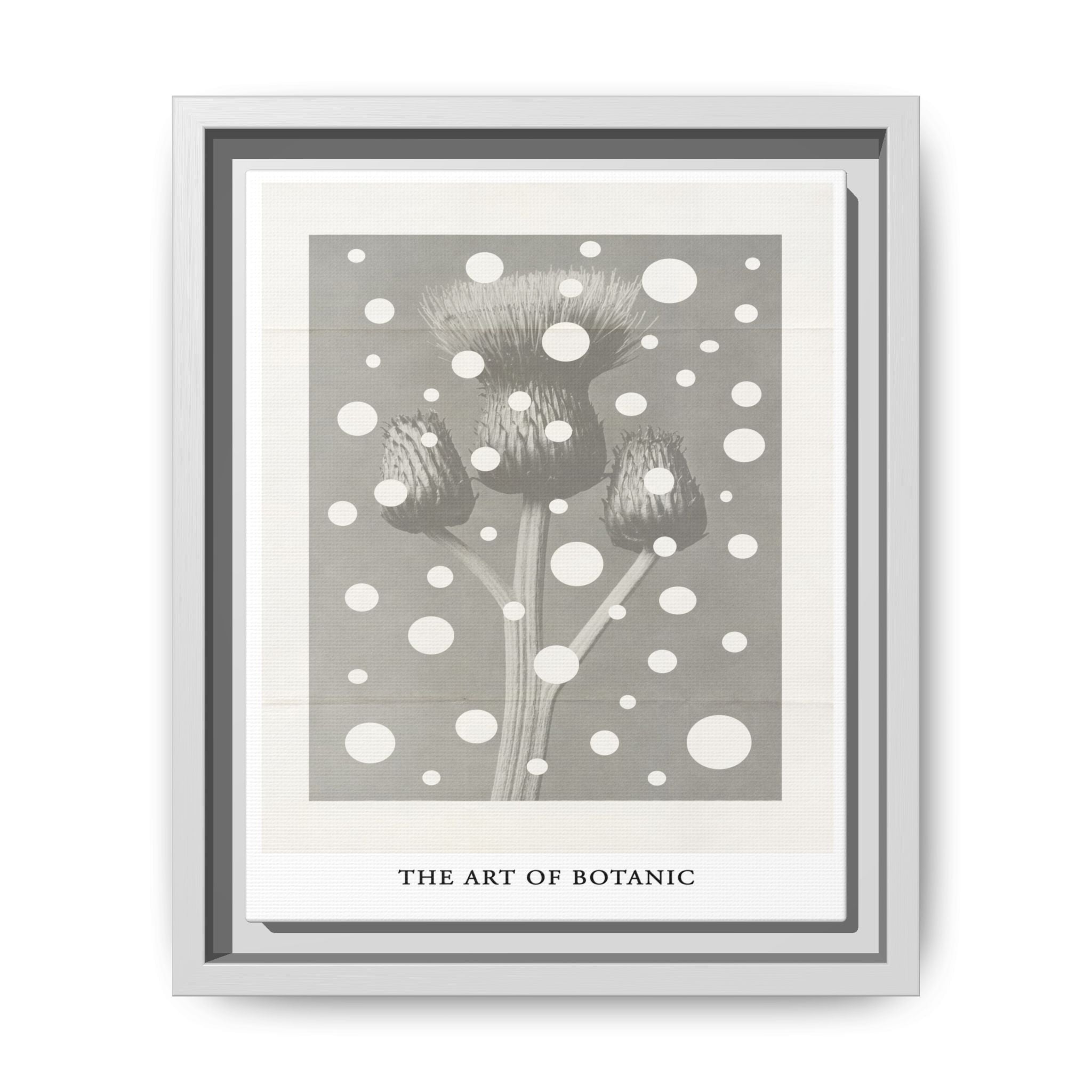Winter Thistle Reverie - Framed