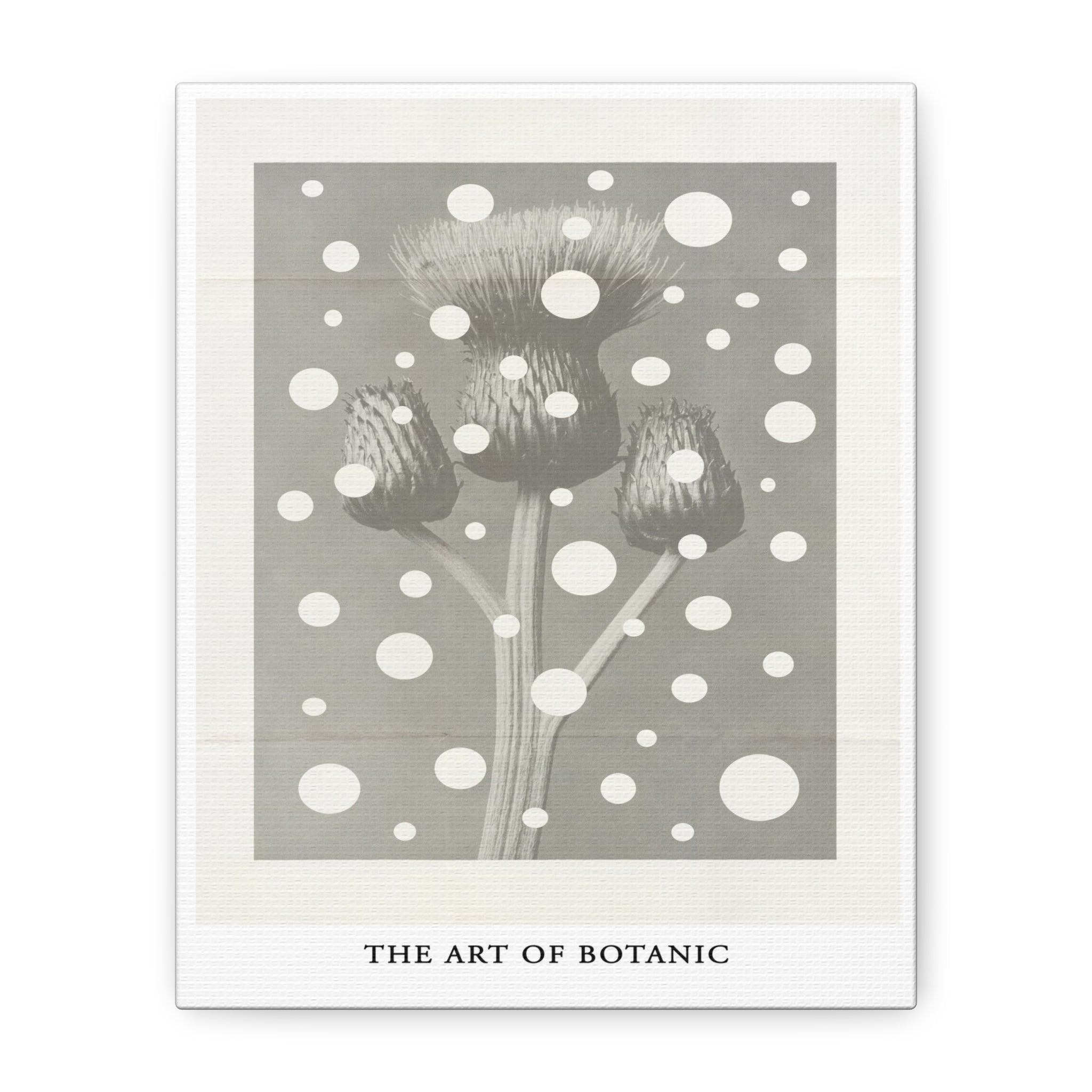 Winter Thistle Reverie - Canvas