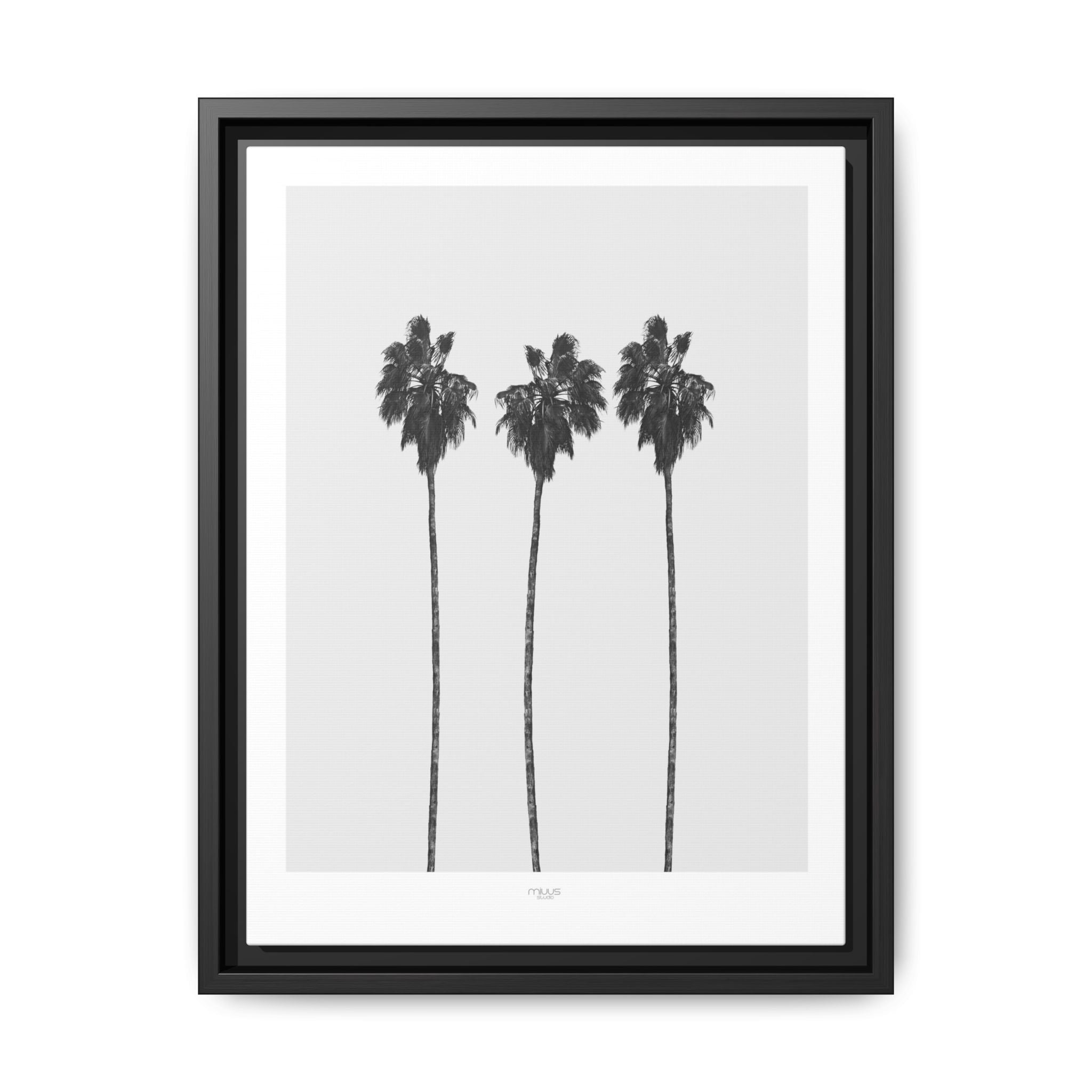 Silver Coast Palm Trio - Framed