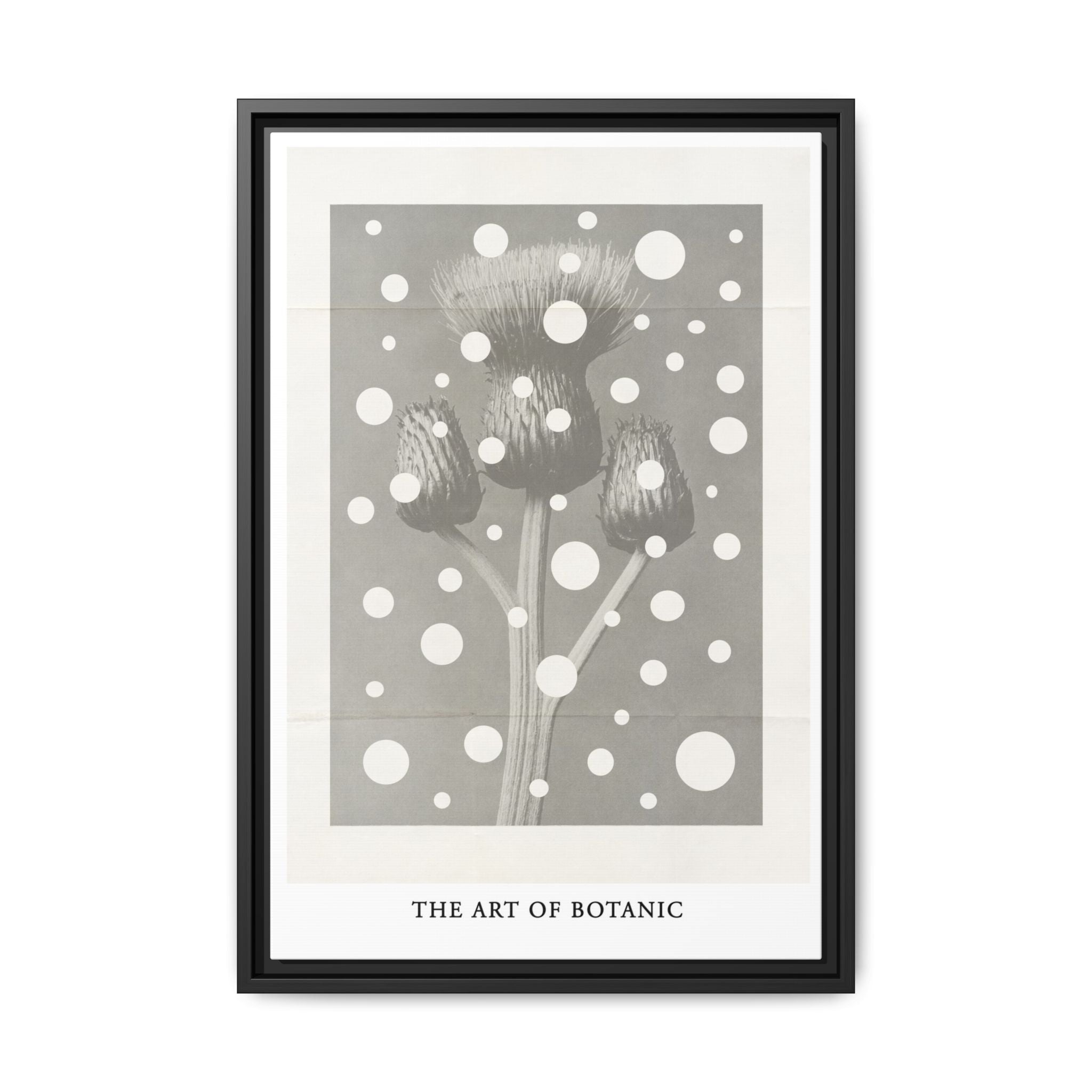 Winter Thistle Reverie - Framed