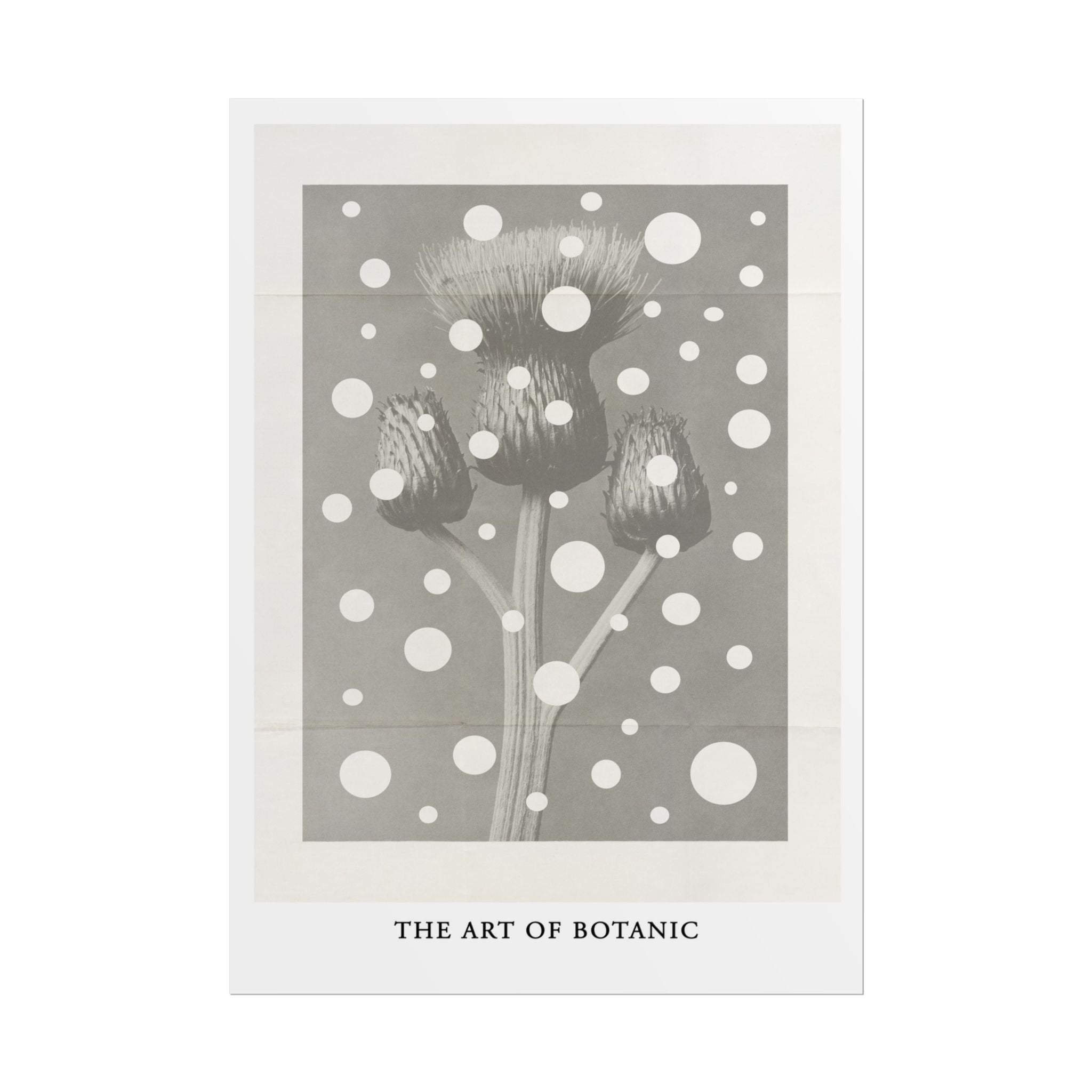 Winter Thistle Reverie - Poster
