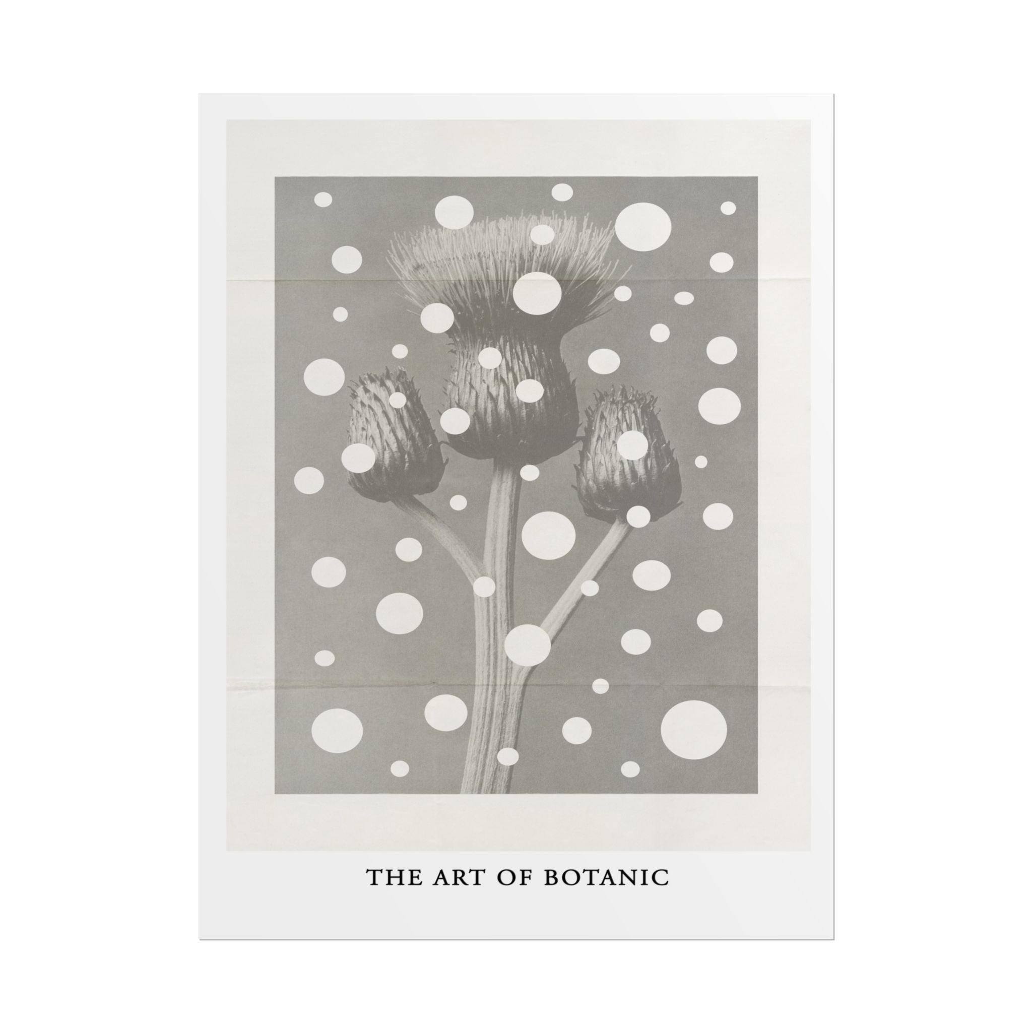Winter Thistle Reverie - Poster