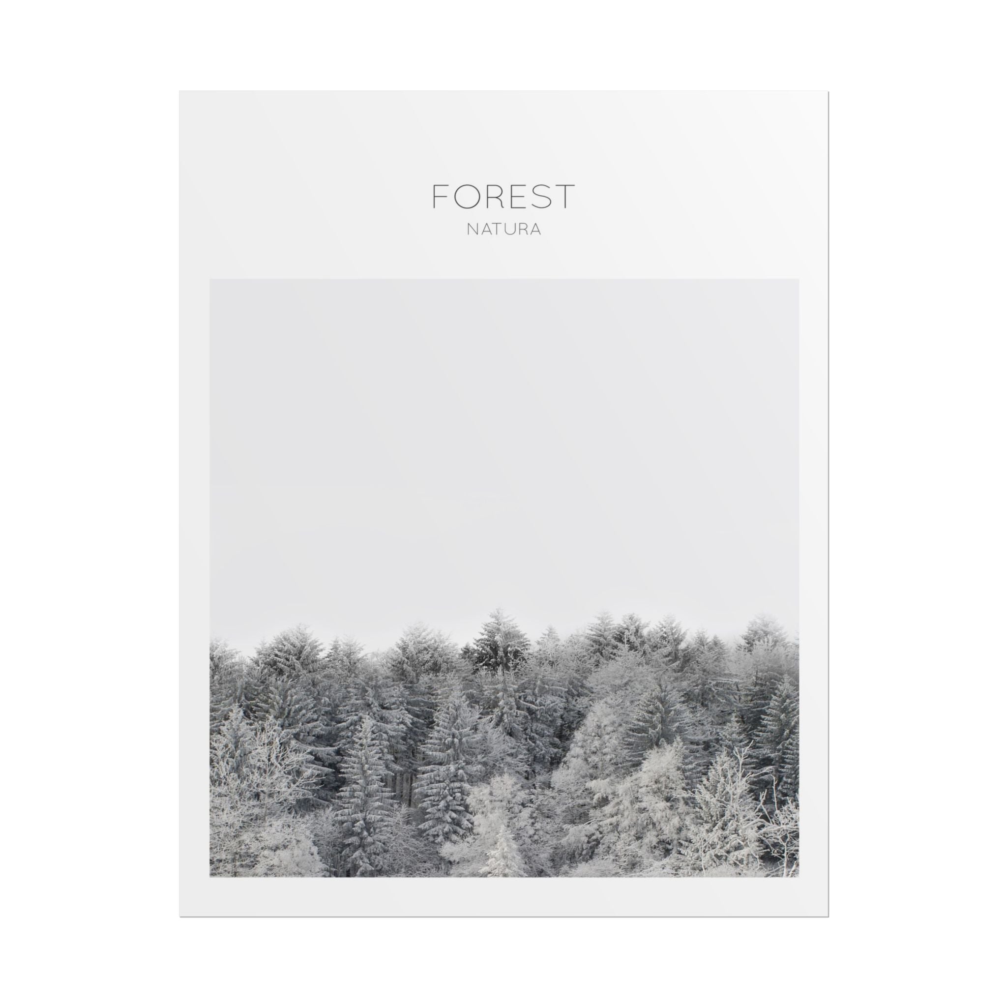 Silent Frost Canopy - Poster