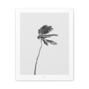 Coastal Silence Sway - Canvas
