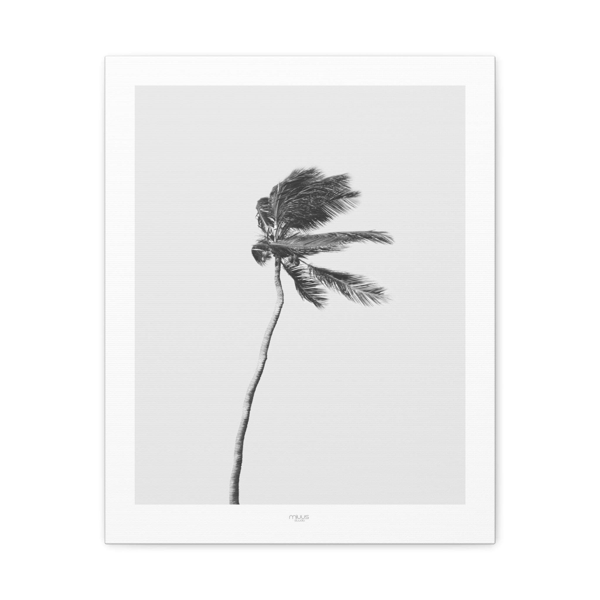 Coastal Silence Sway - Canvas