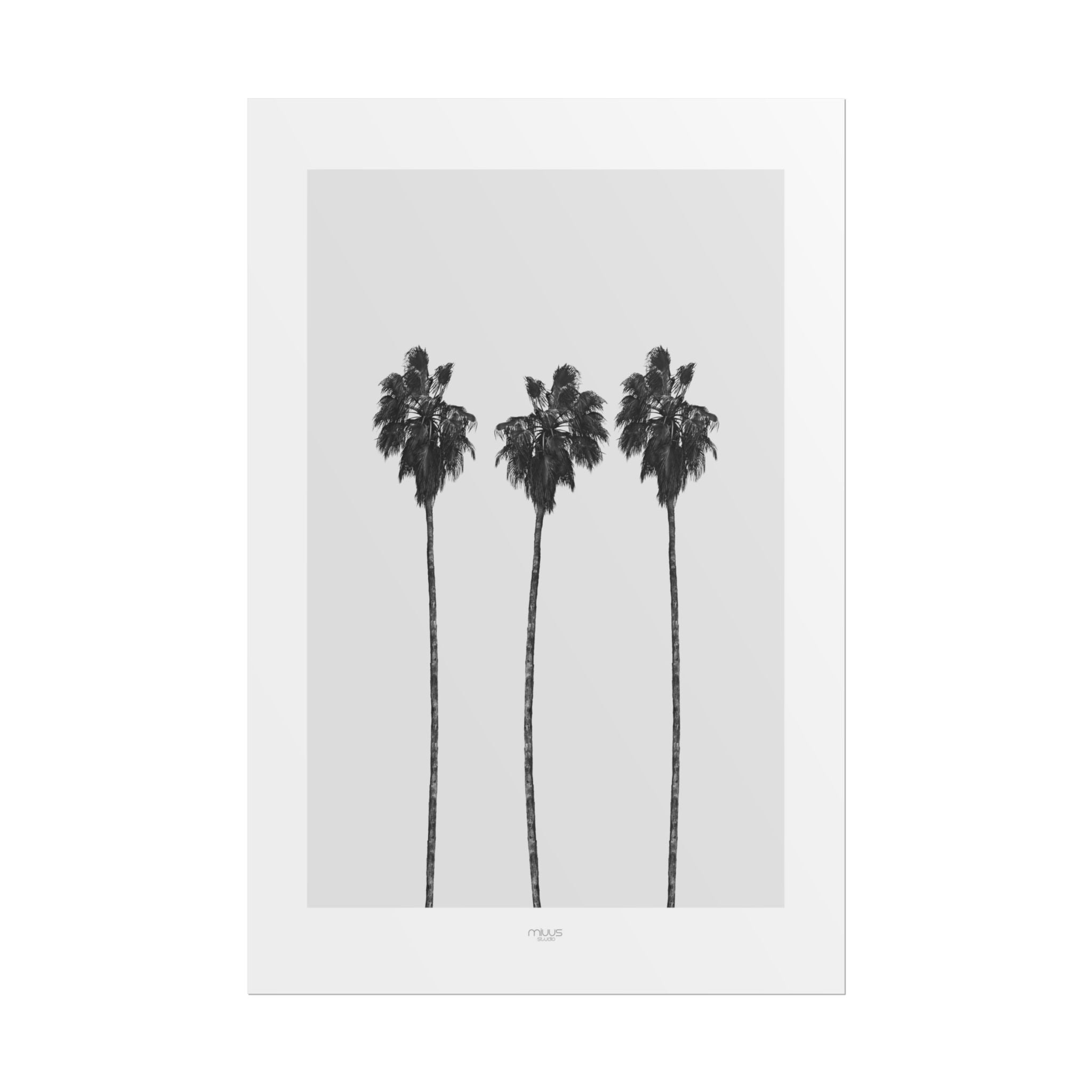 Silver Coast Palm Trio - Poster