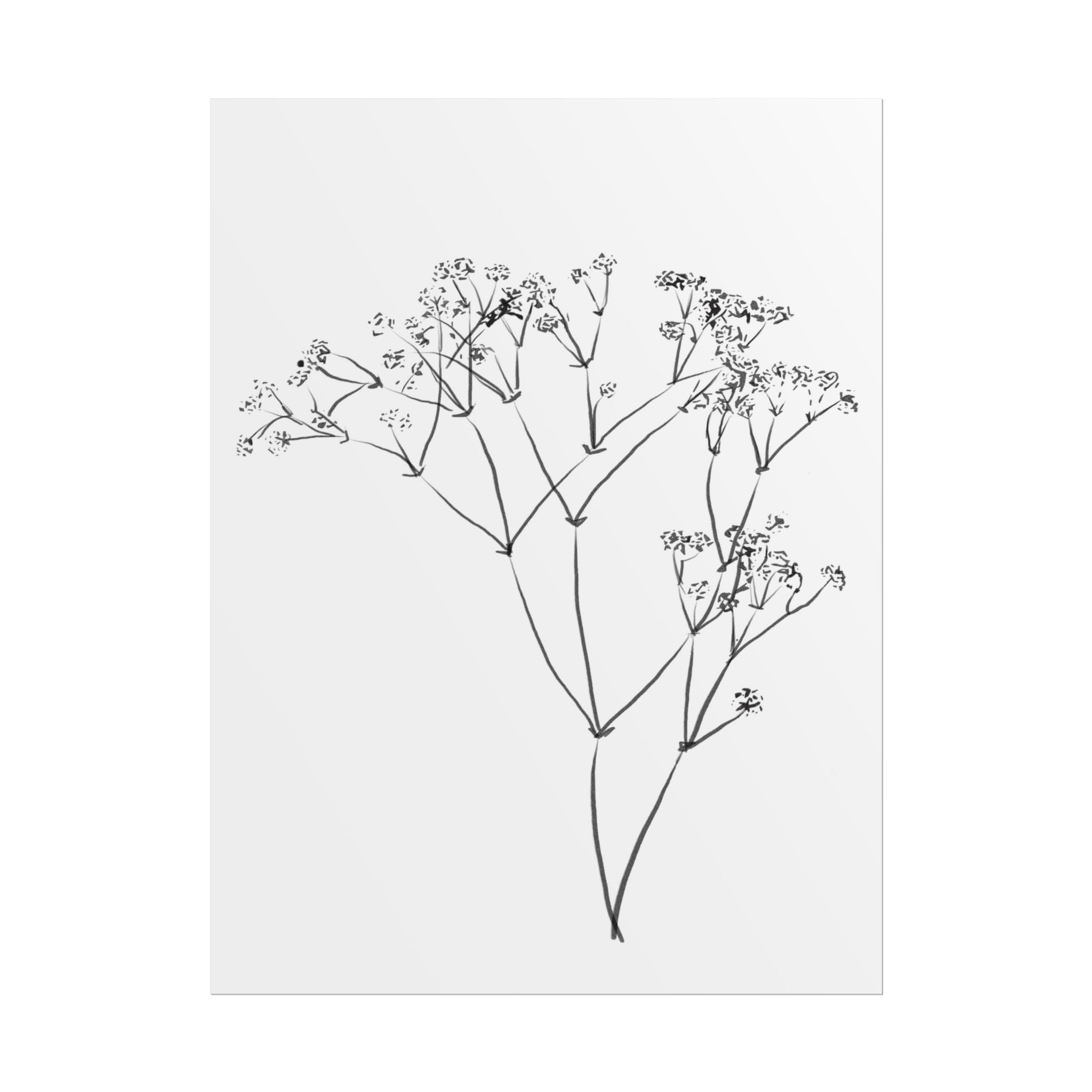 Whispering Meadow Sketch - Poster