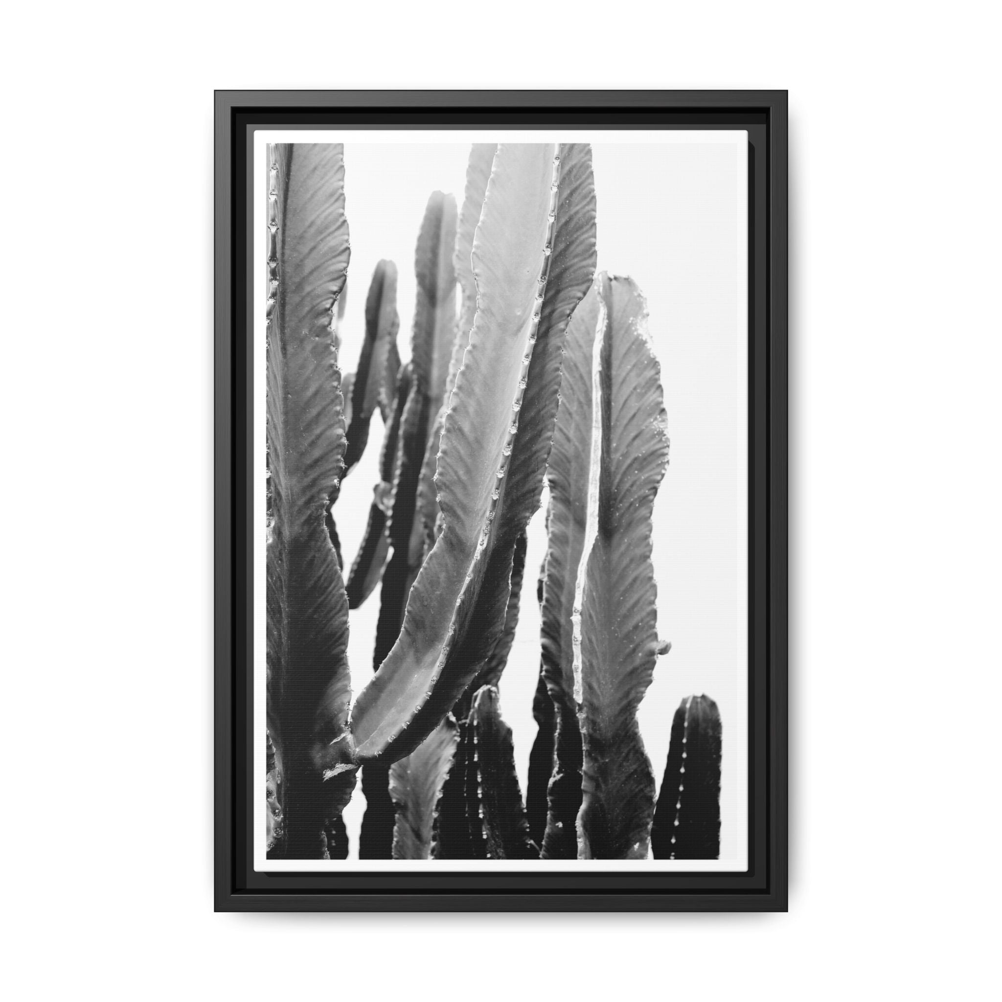 Monochrome Desert Veins - Framed