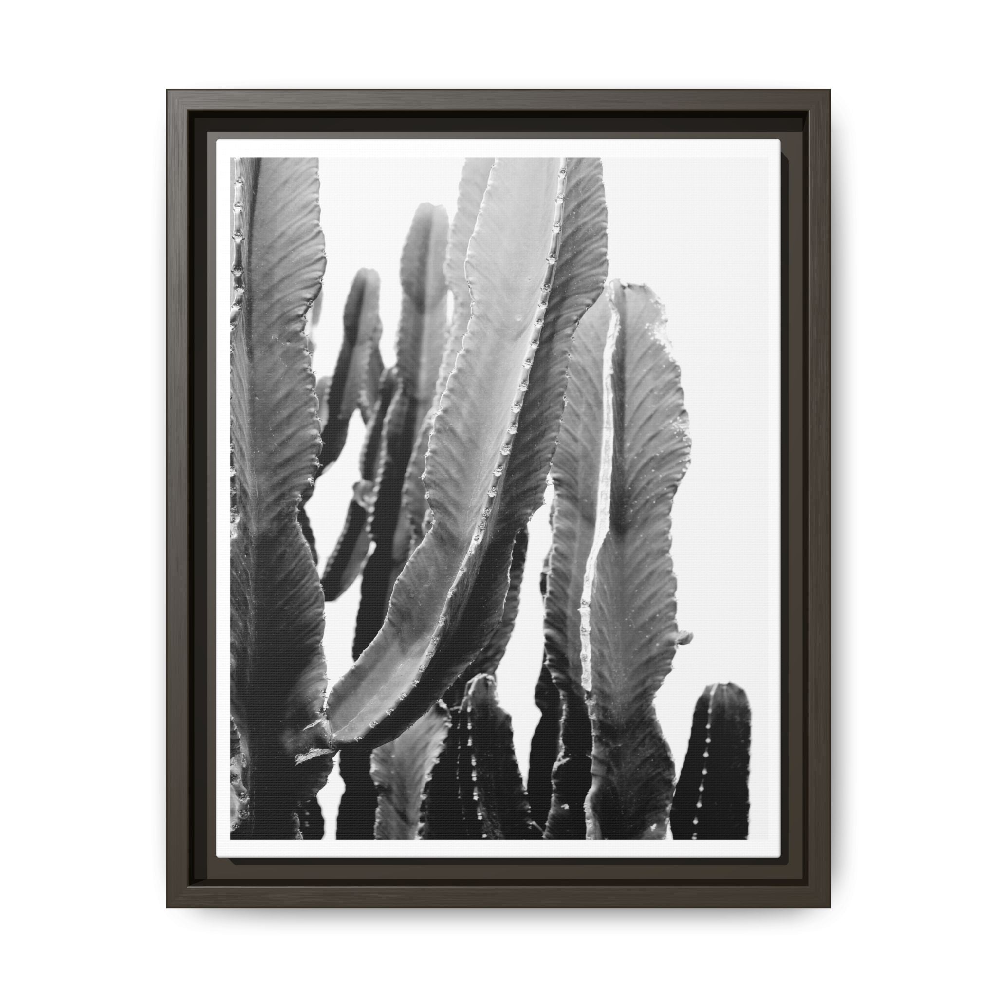 Monochrome Desert Veins - Framed