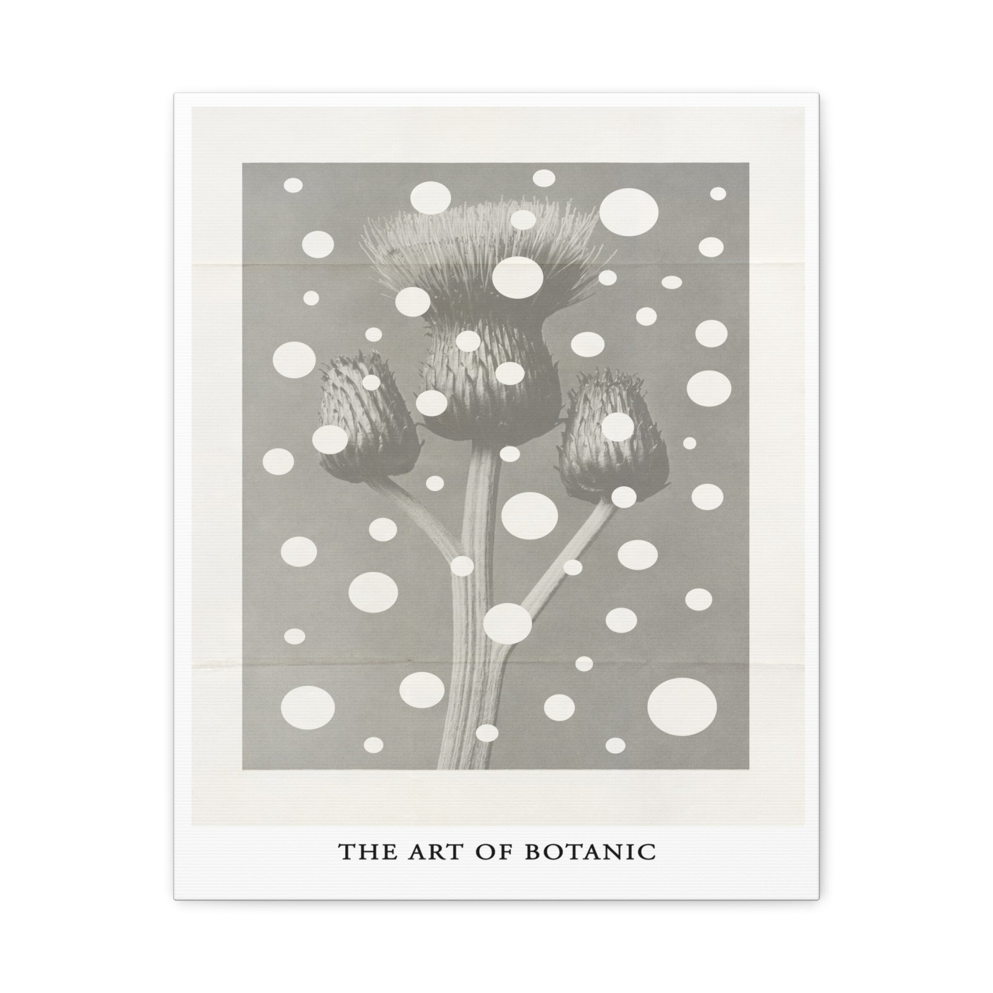 Winter Thistle Reverie - Canvas