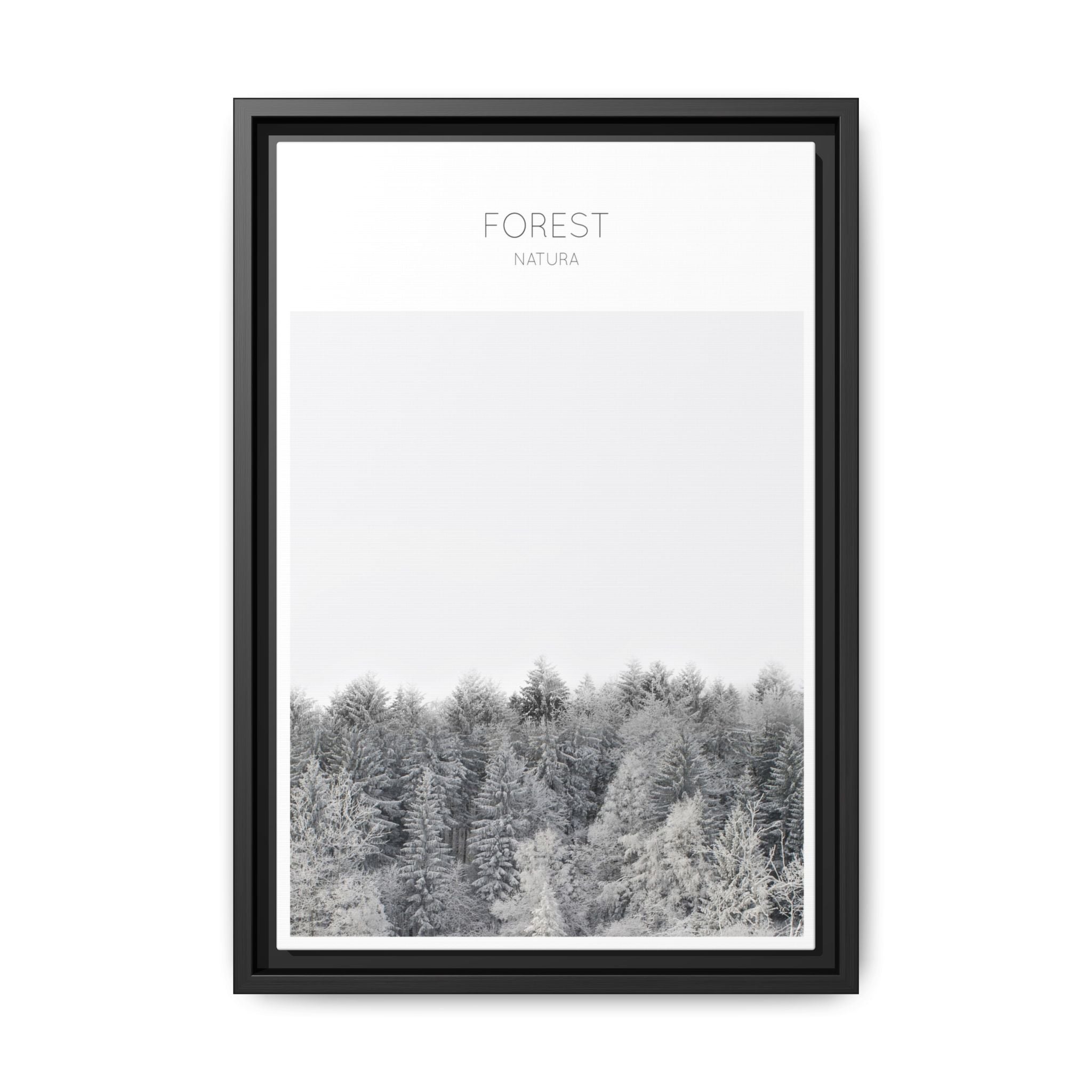 Silent Frost Canopy - Framed