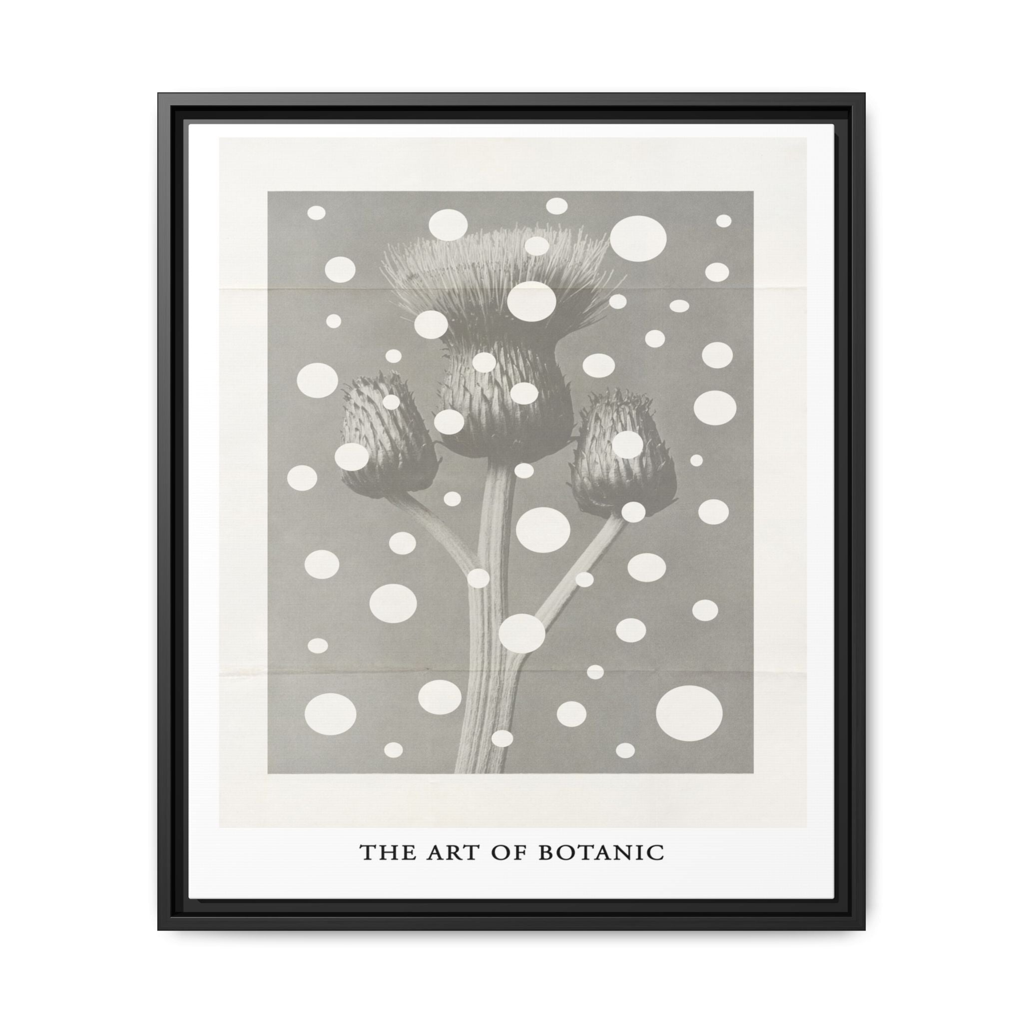 Winter Thistle Reverie - Framed
