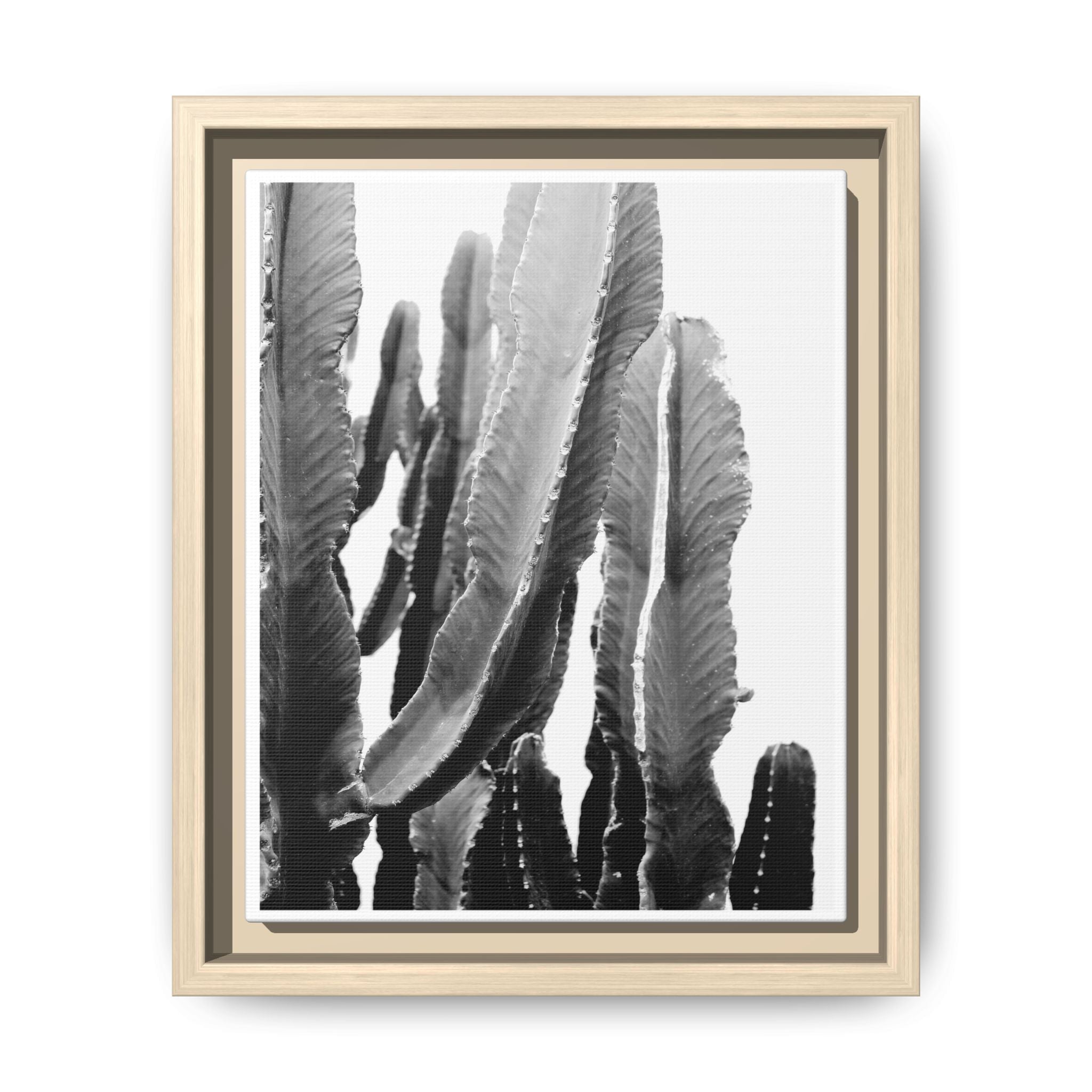 Monochrome Desert Veins - Framed